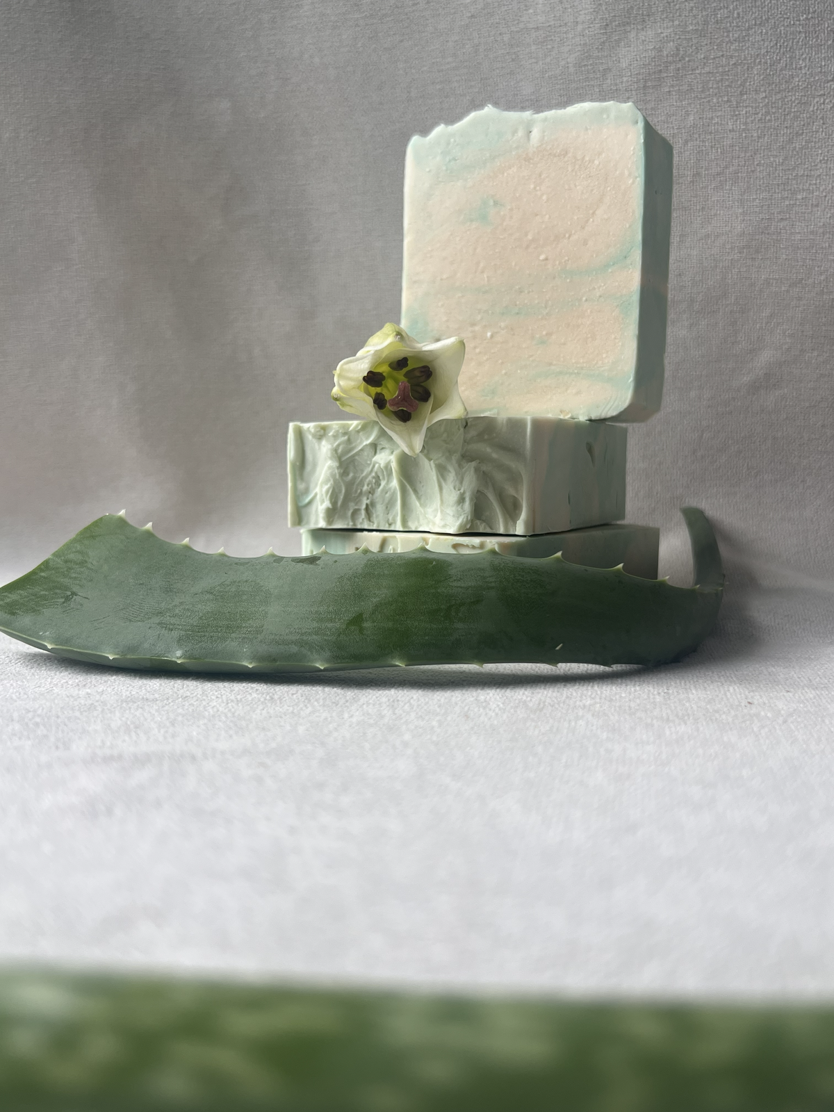 Limited collection | Aloe Mist