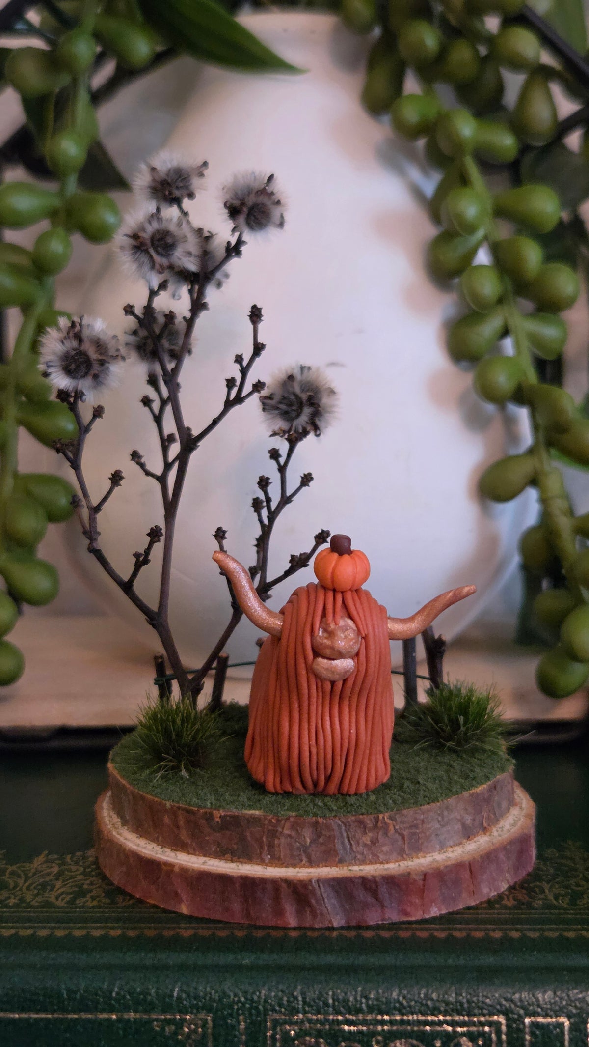 Highland Cow - Willow