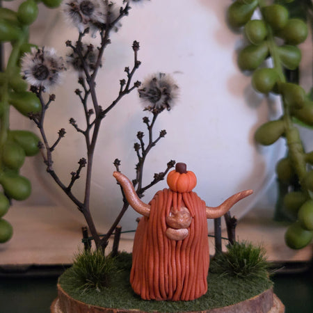 Highland Cow - Willow