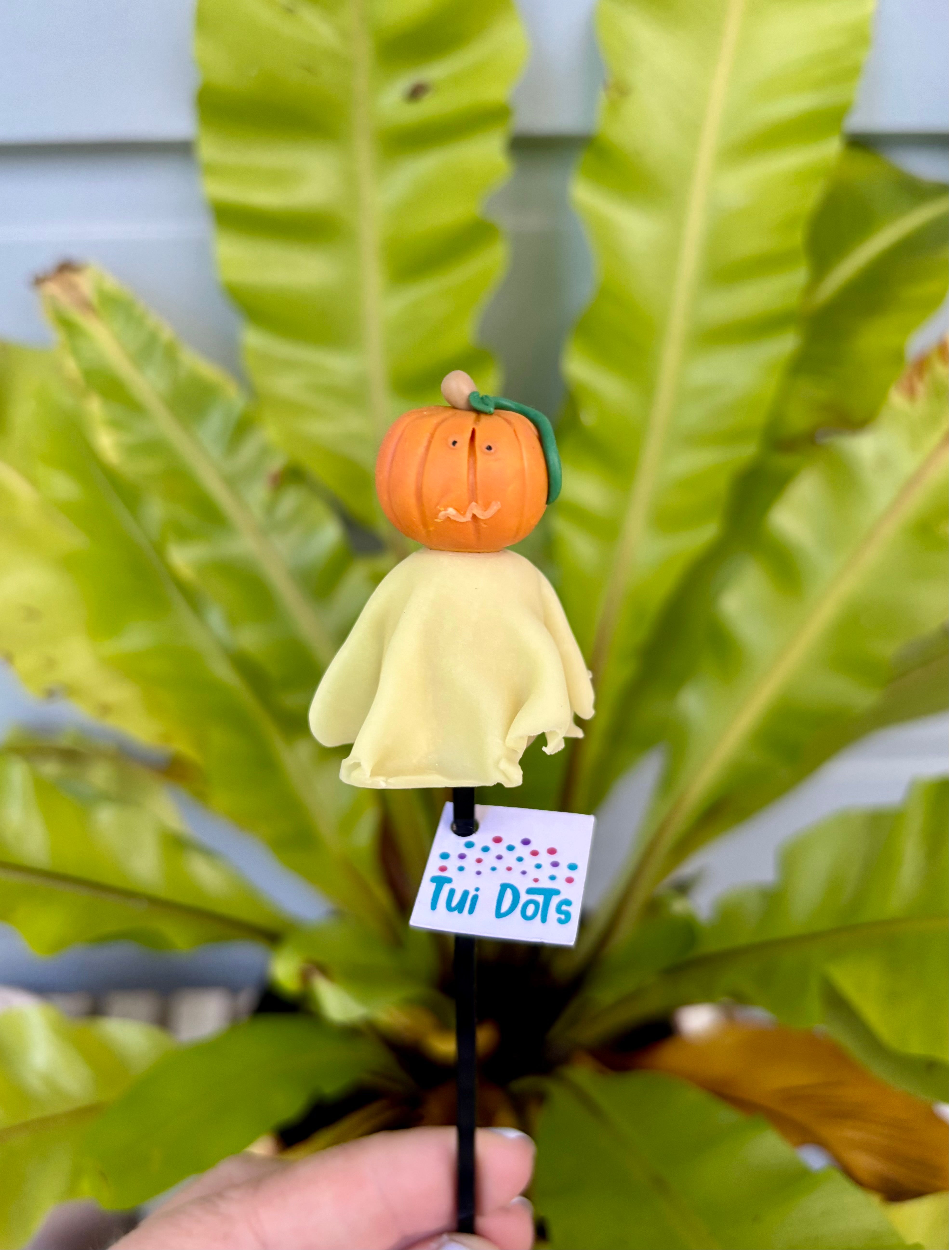 Halloween Tiny Gnomes - Pumpkin Head