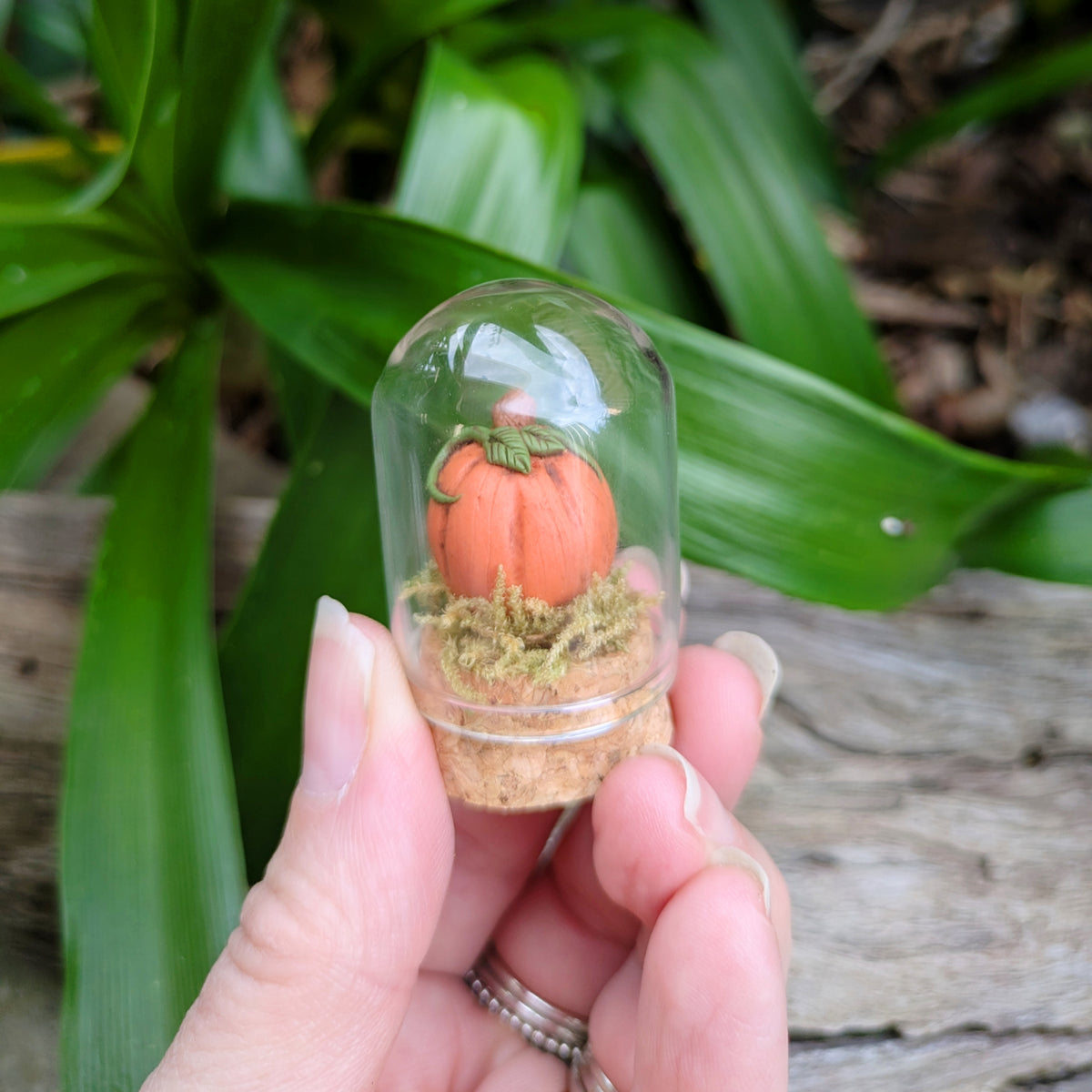 Mini Halloween Pumpkin & Tombstone Domes – Spooky Cute Miniatures