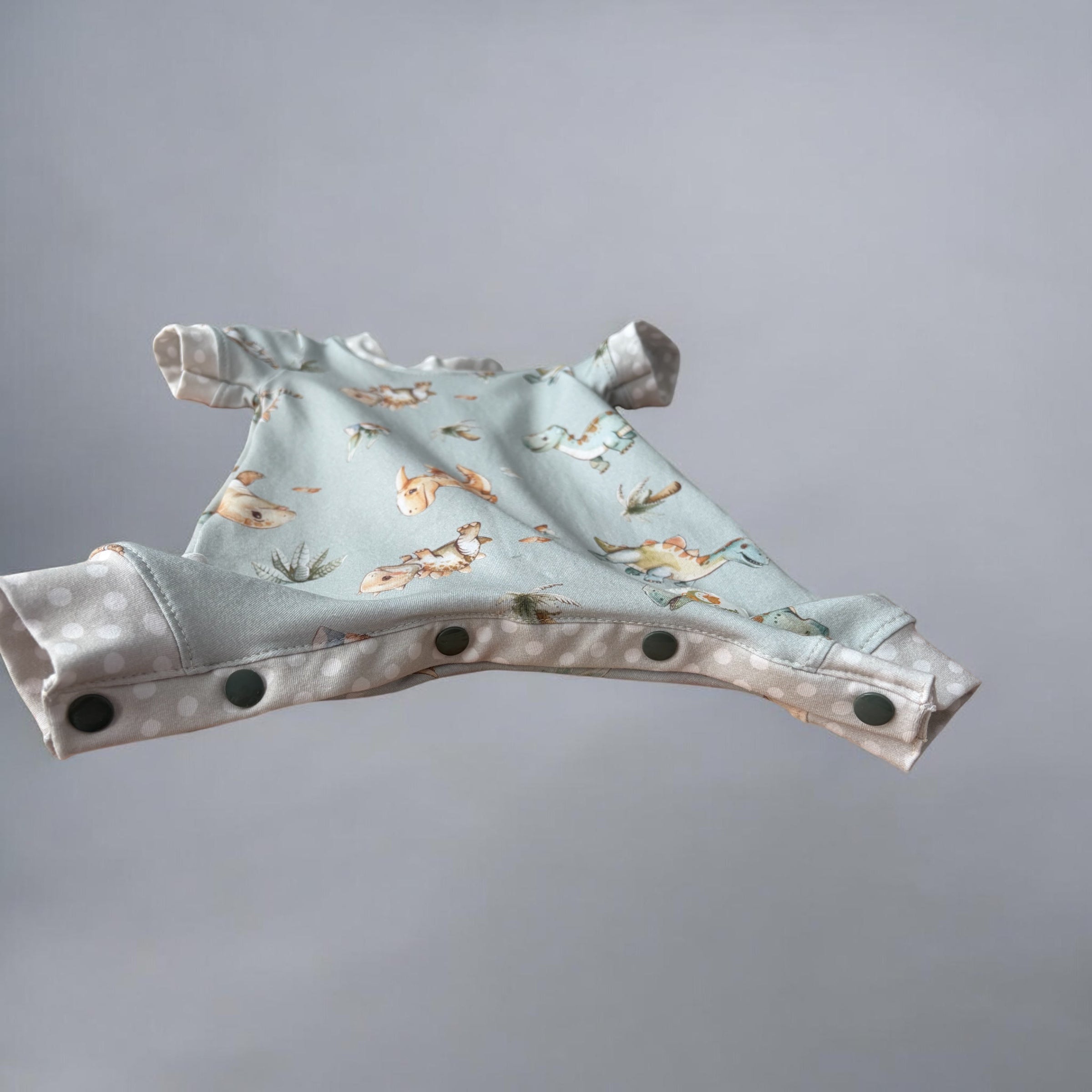 Baby Dinosaurs Pale Green Romper