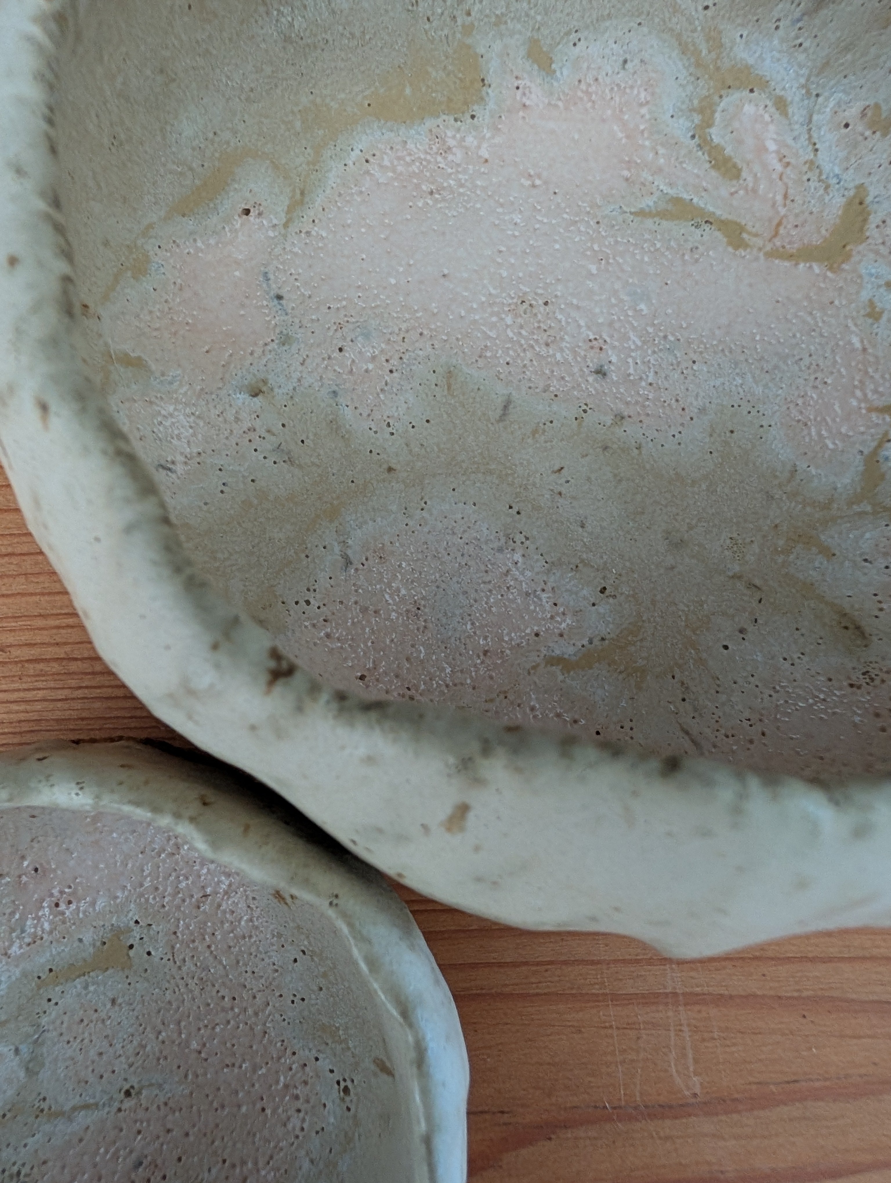 Set of 2 Small Handmade Ceramic Dishes - Earthy Wabi-Sabi Stoneware