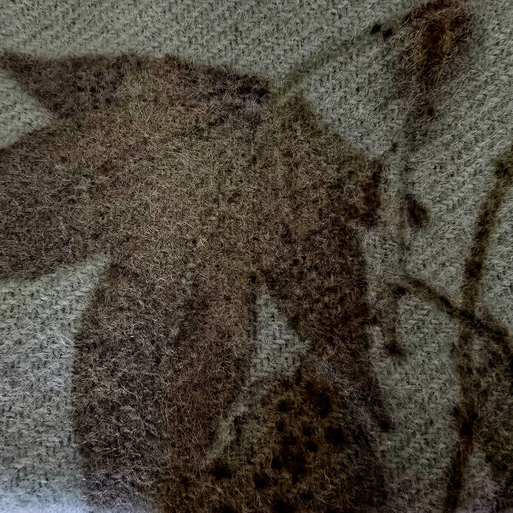 Handcrafted Botanical Eco-Printed Wool Pouch