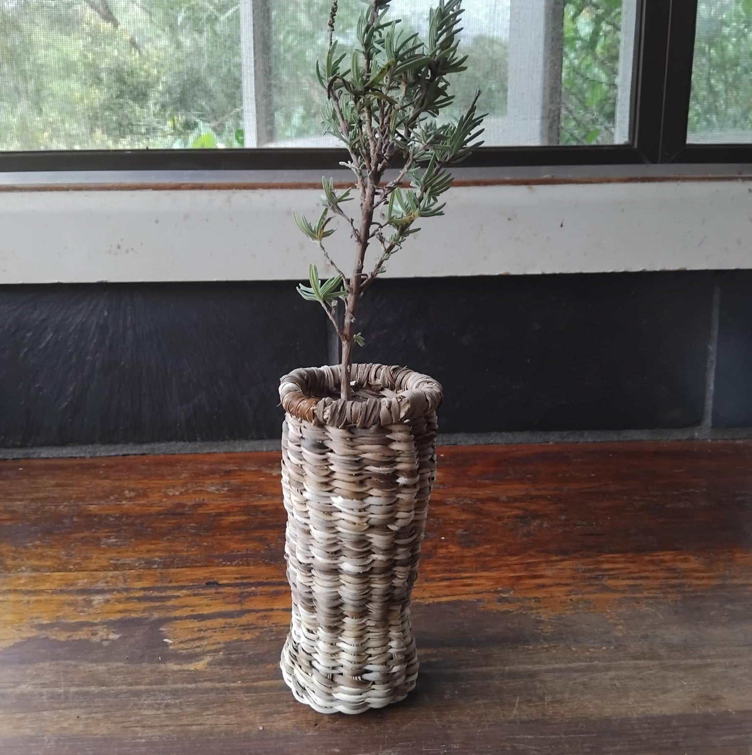 Small Pandanus Vase