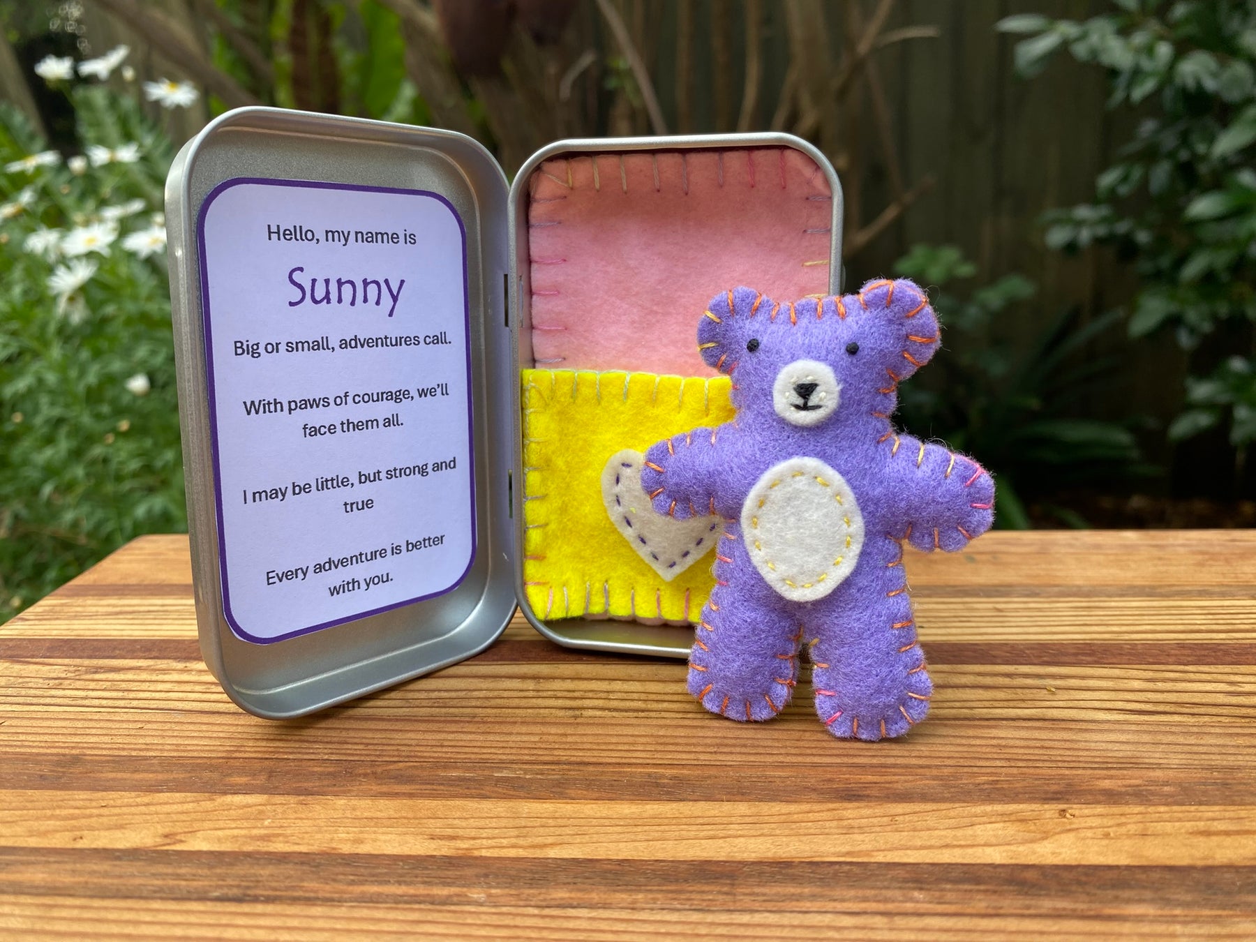 Teddy in a tin - Sunny #1