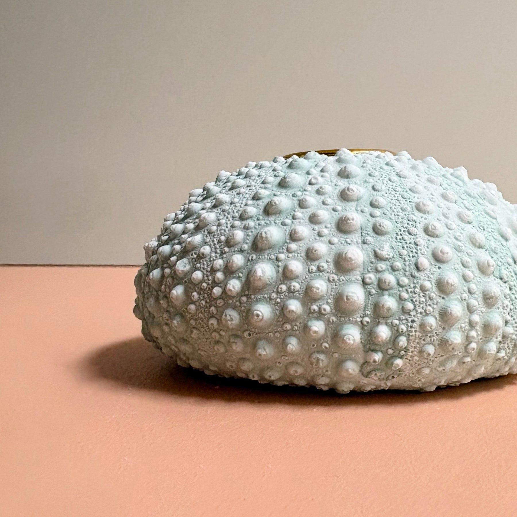 Green Sea Urchin candle Holder — Eco Resin | Coastal Wedding Decor