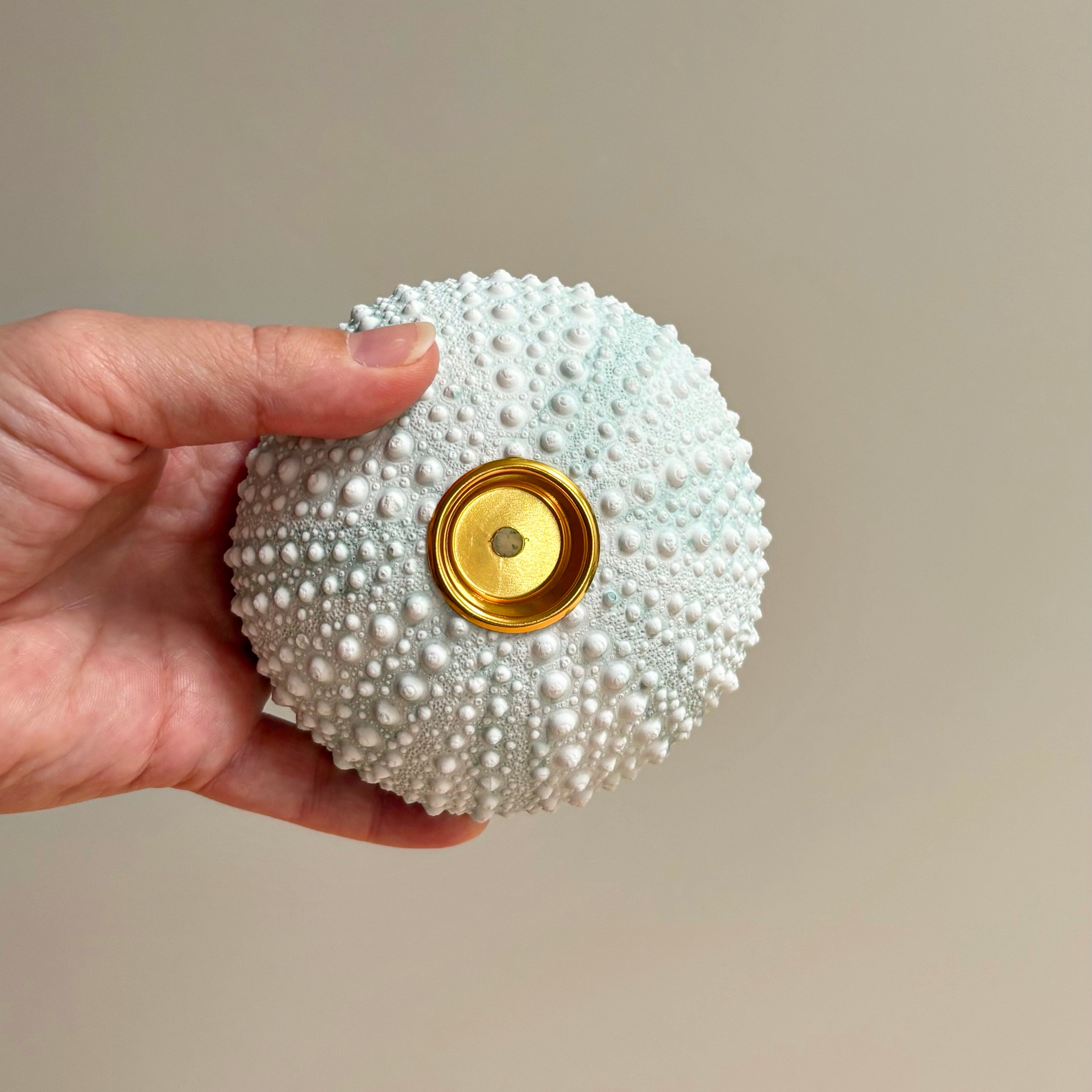 Green Sea Urchin candle Holder — Eco Resin | Coastal Wedding Decor