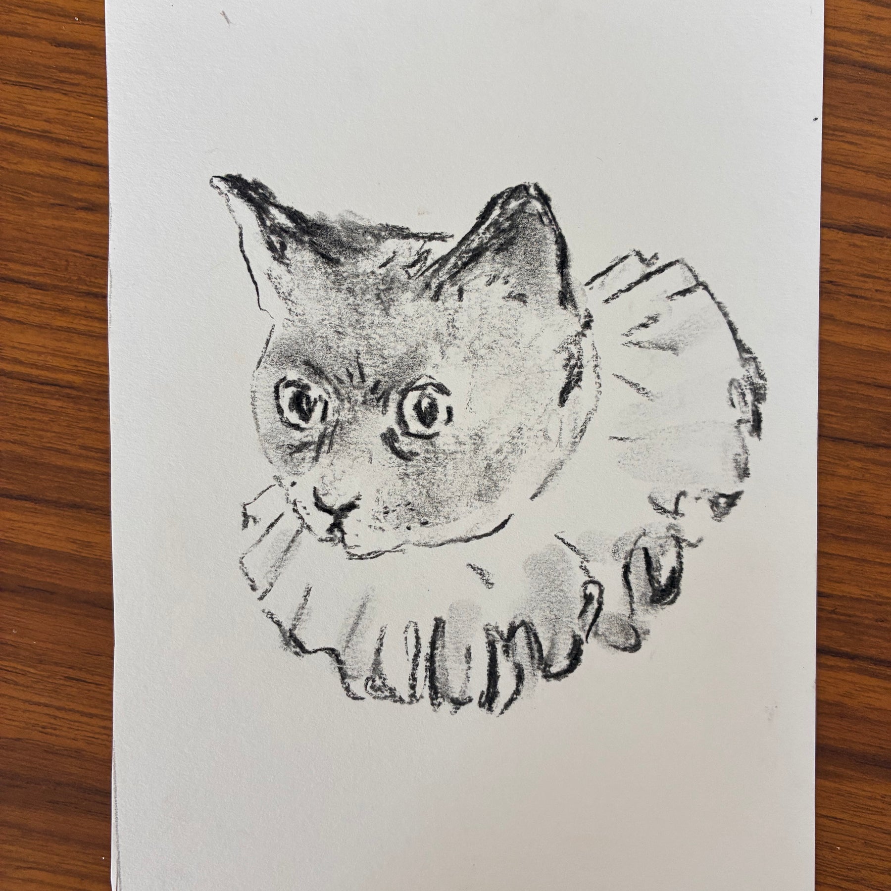 charcoal drawing of a clown cat