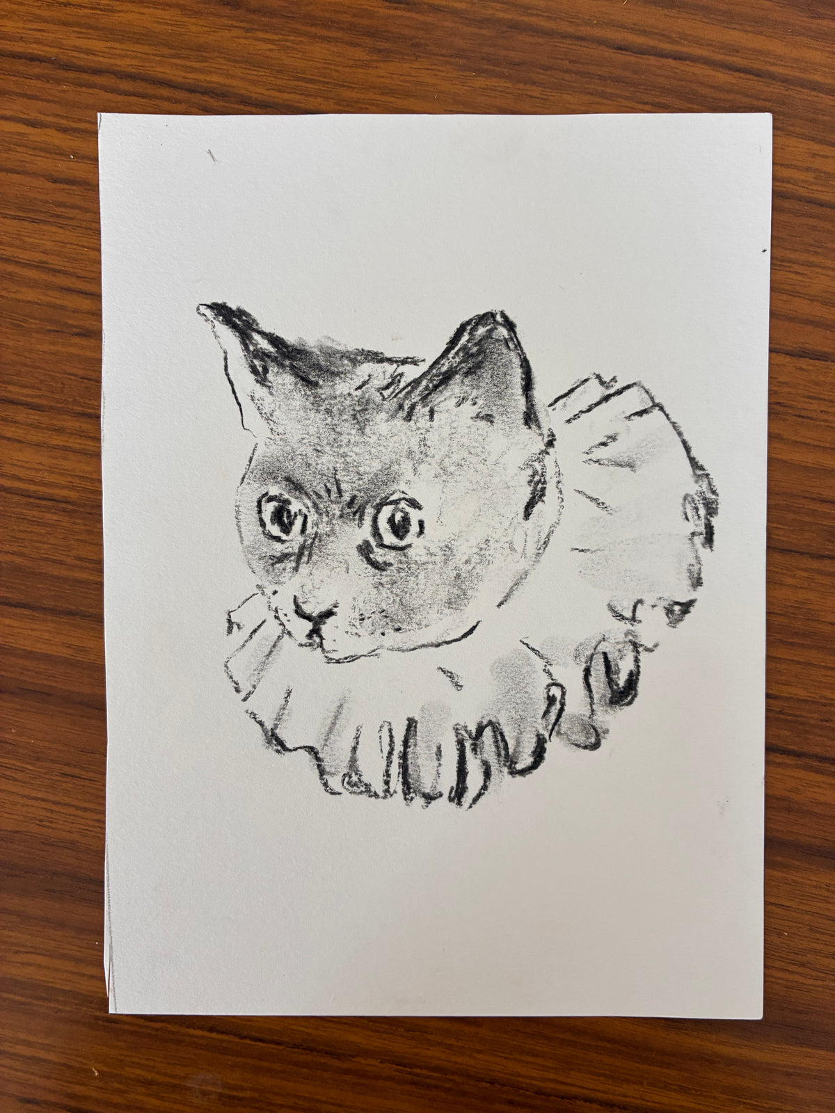 charcoal drawing of a clown cat