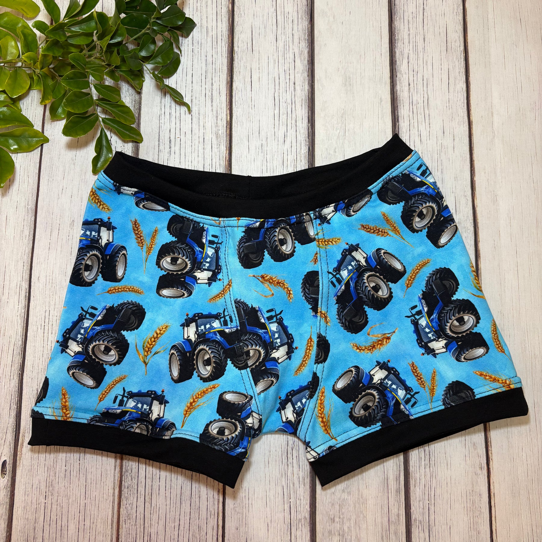 Kid's Size 6 Underwear (Briefs & Boxers)