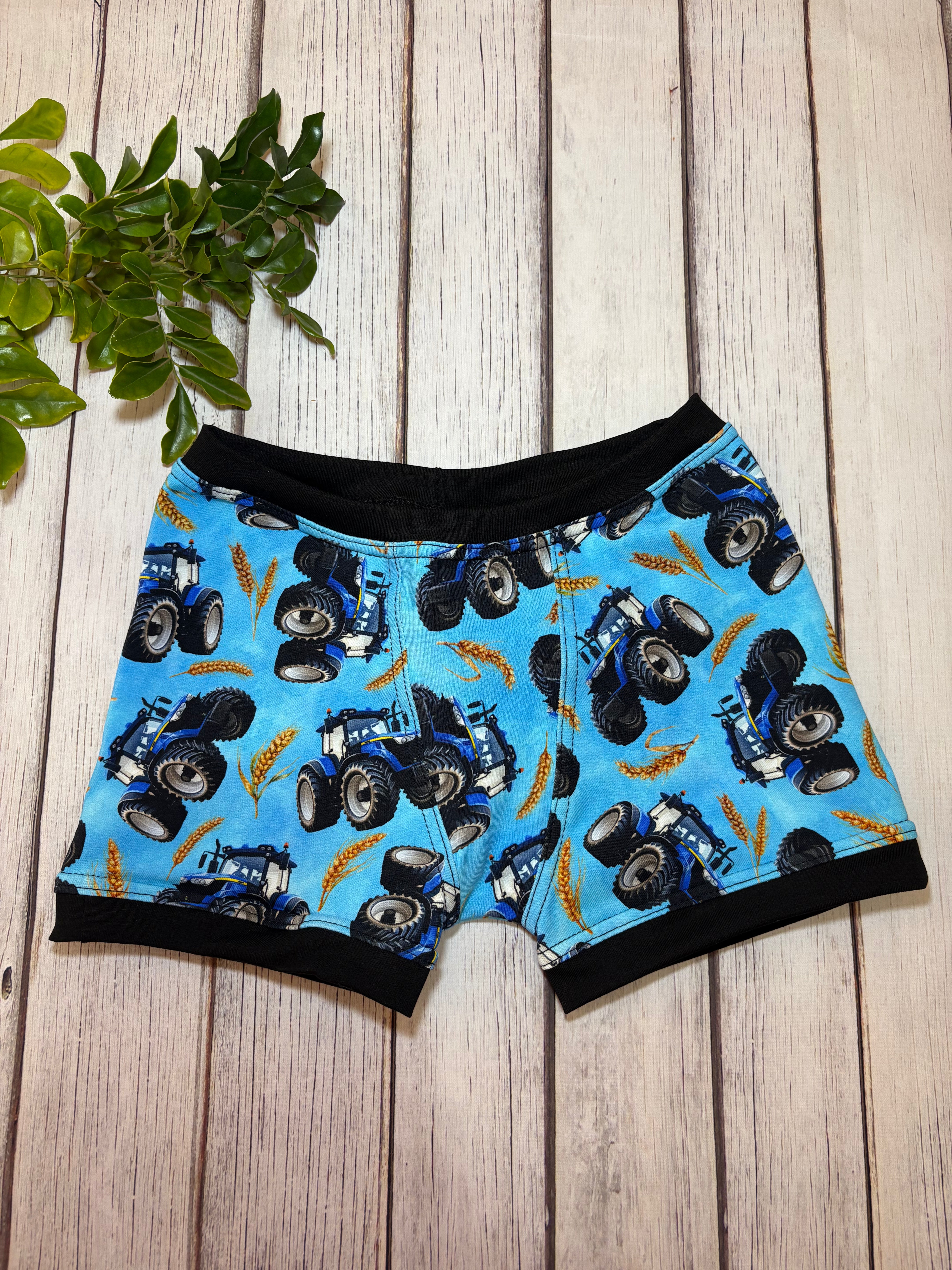 Kid's Size 6 Underwear (Briefs & Boxers)