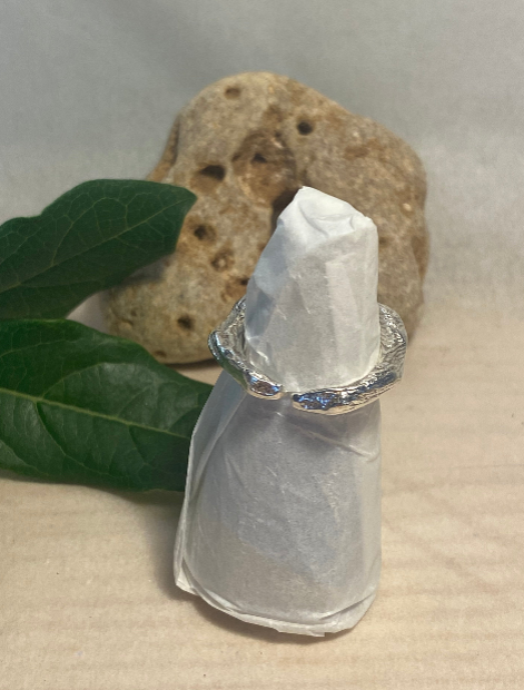 Cuttlefish Cast Sterling Silver Ring