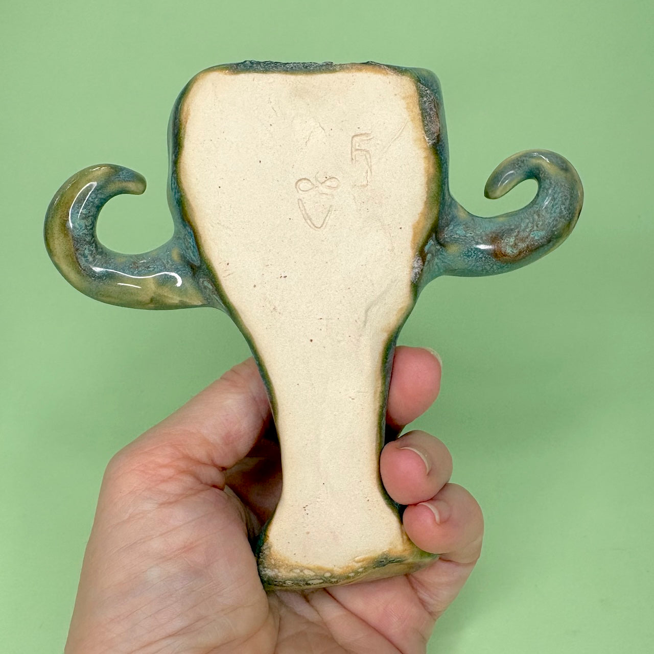 Air plant monster hanging holder