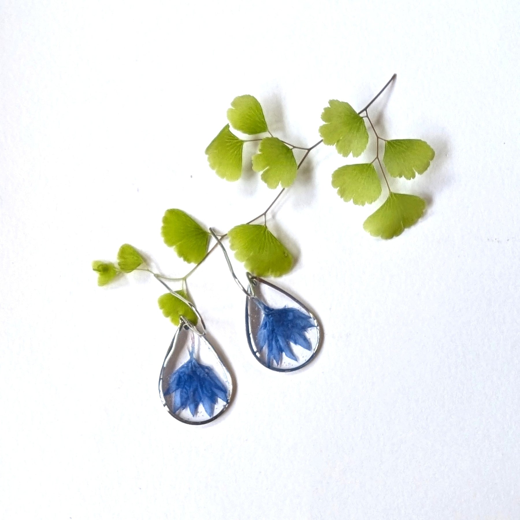 Real Cornflower Petal Resin Teardrop Earrings