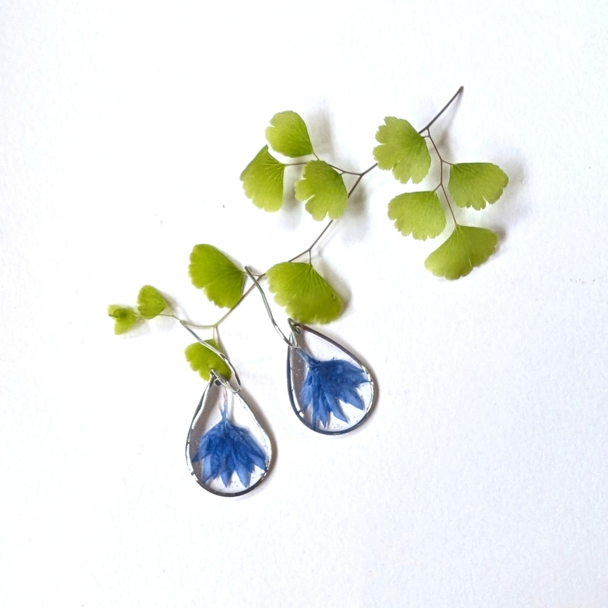 Real Cornflower Petal Resin Teardrop Earrings