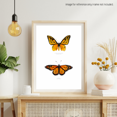 Watercolour Art Print - The Fauna Series - 'Warm Hued Butterfly Duo'