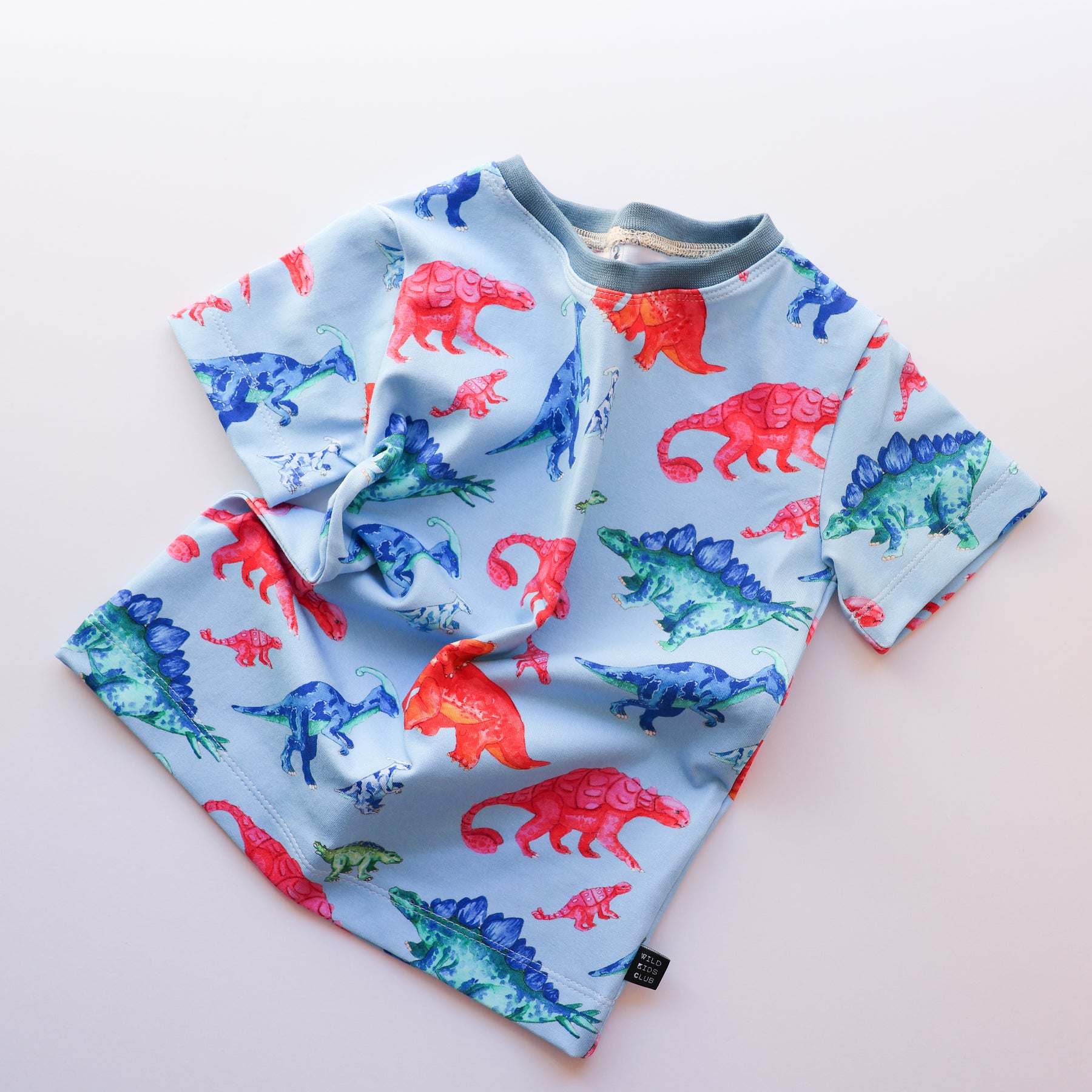 Colourful Dino Roars organic cotton tee shirt 2026-27