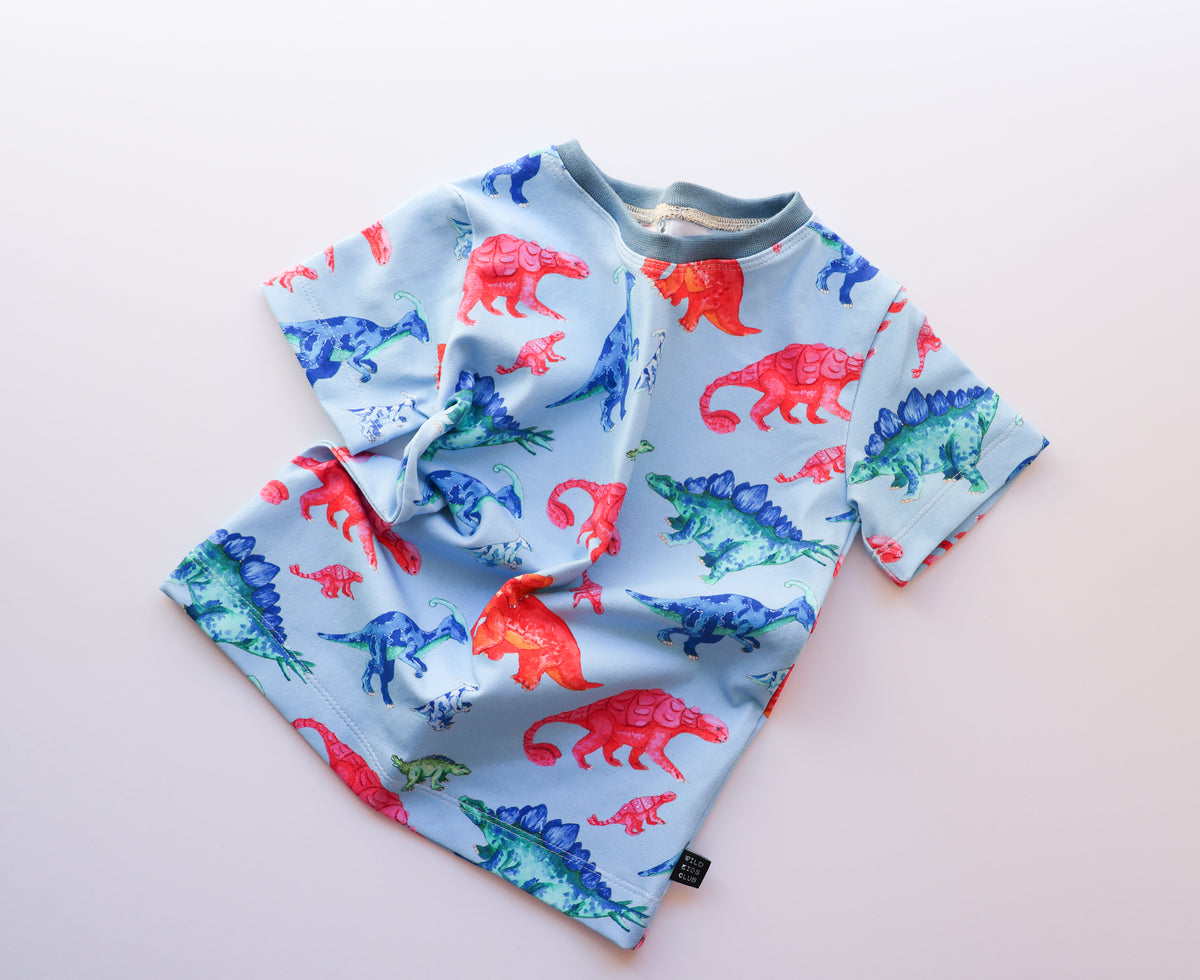 Colourful Dino Roars organic cotton tee shirt 2026-27