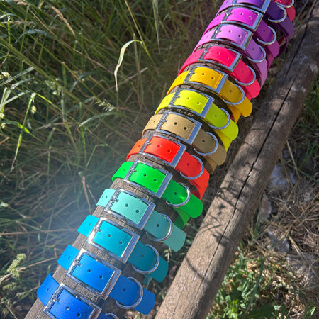 DOG PET COLLAR WATERPROOF BRIGHT STRONG