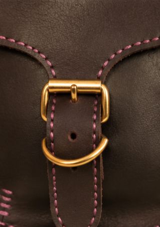 Phone Bag