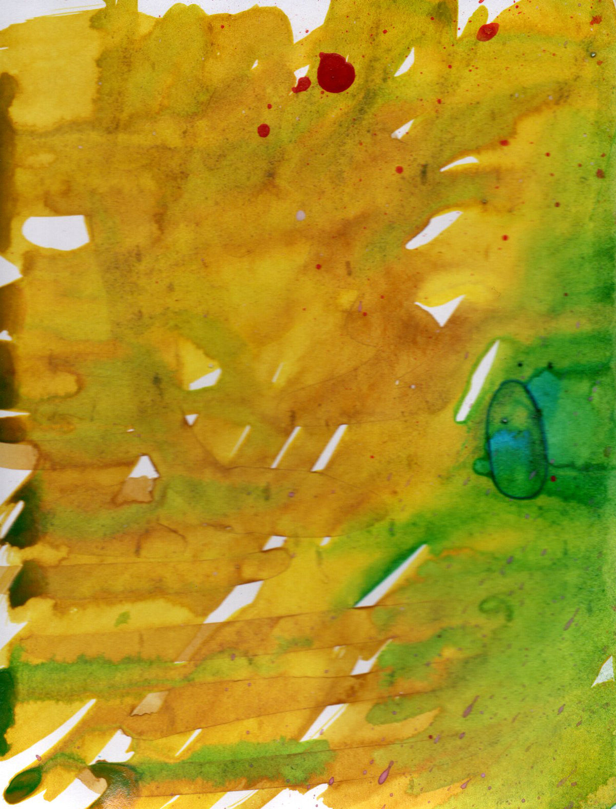 Hand Painted Greeting Cards: 5-pack