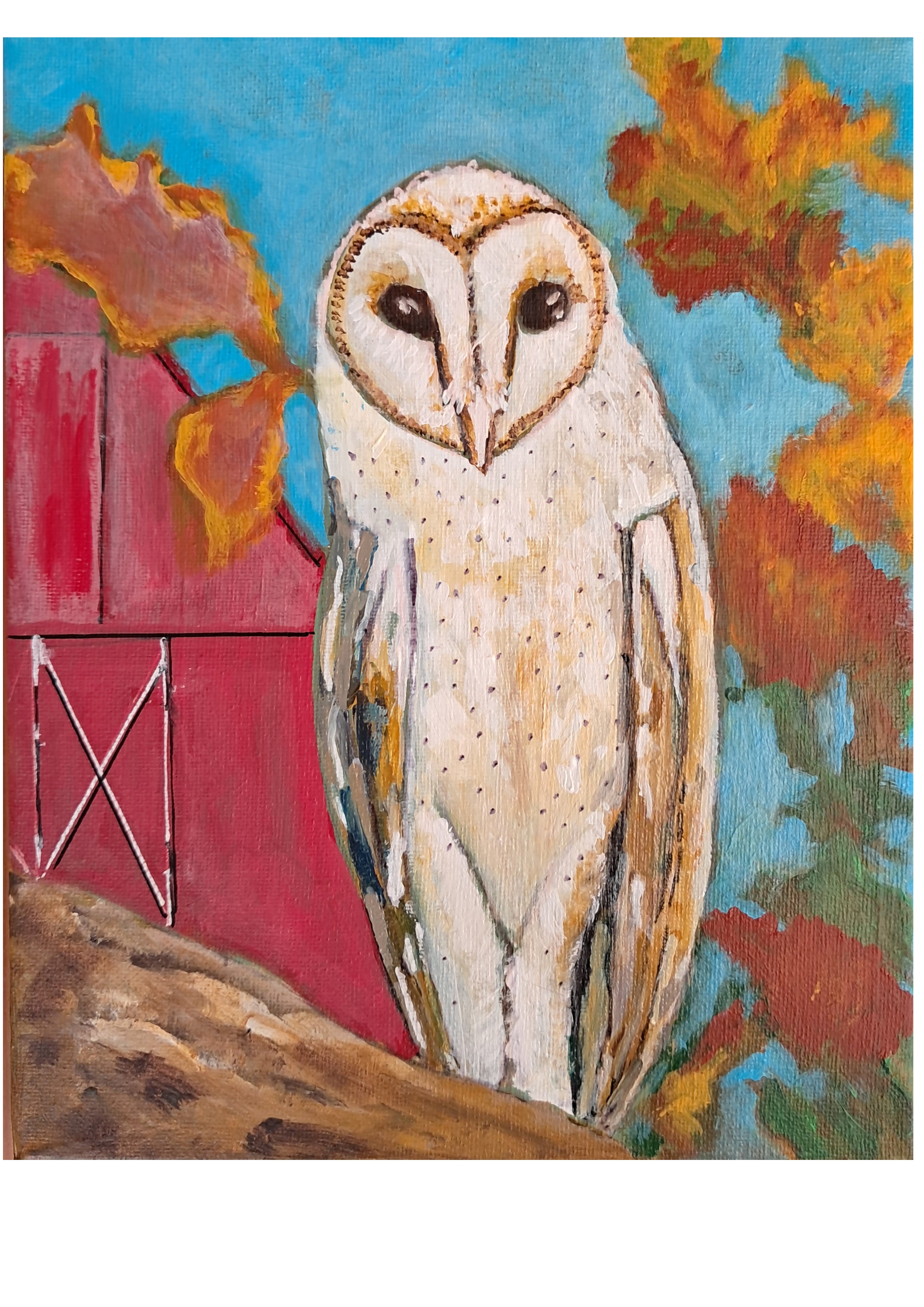 OWL BARN OWL