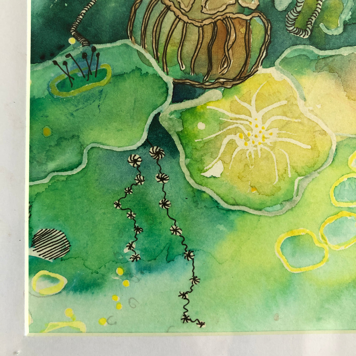 'Lotus Pond'