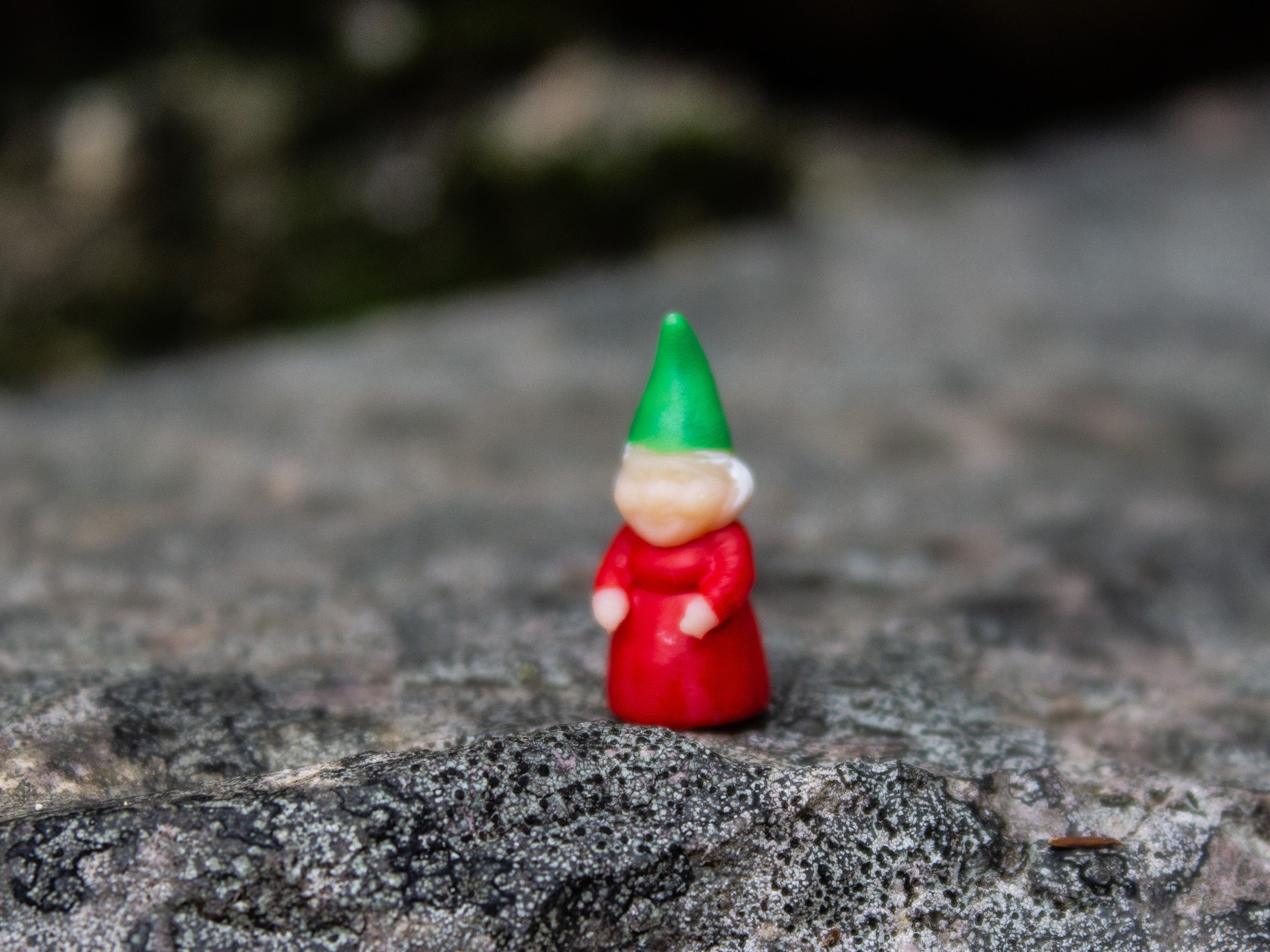 Tiny Gnome; The Stone Petal
