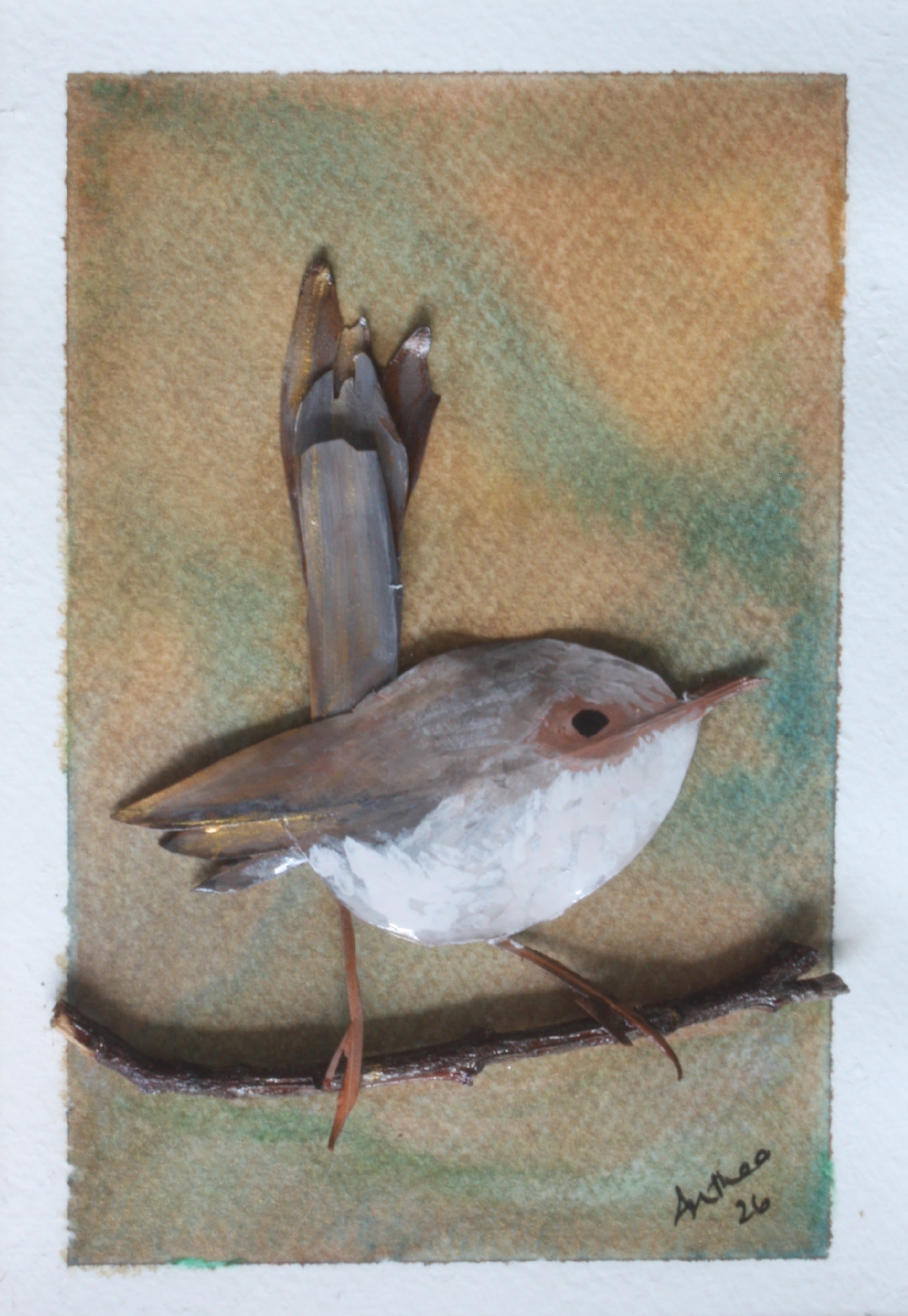 Female Fairy Blue Wren Original Artwork