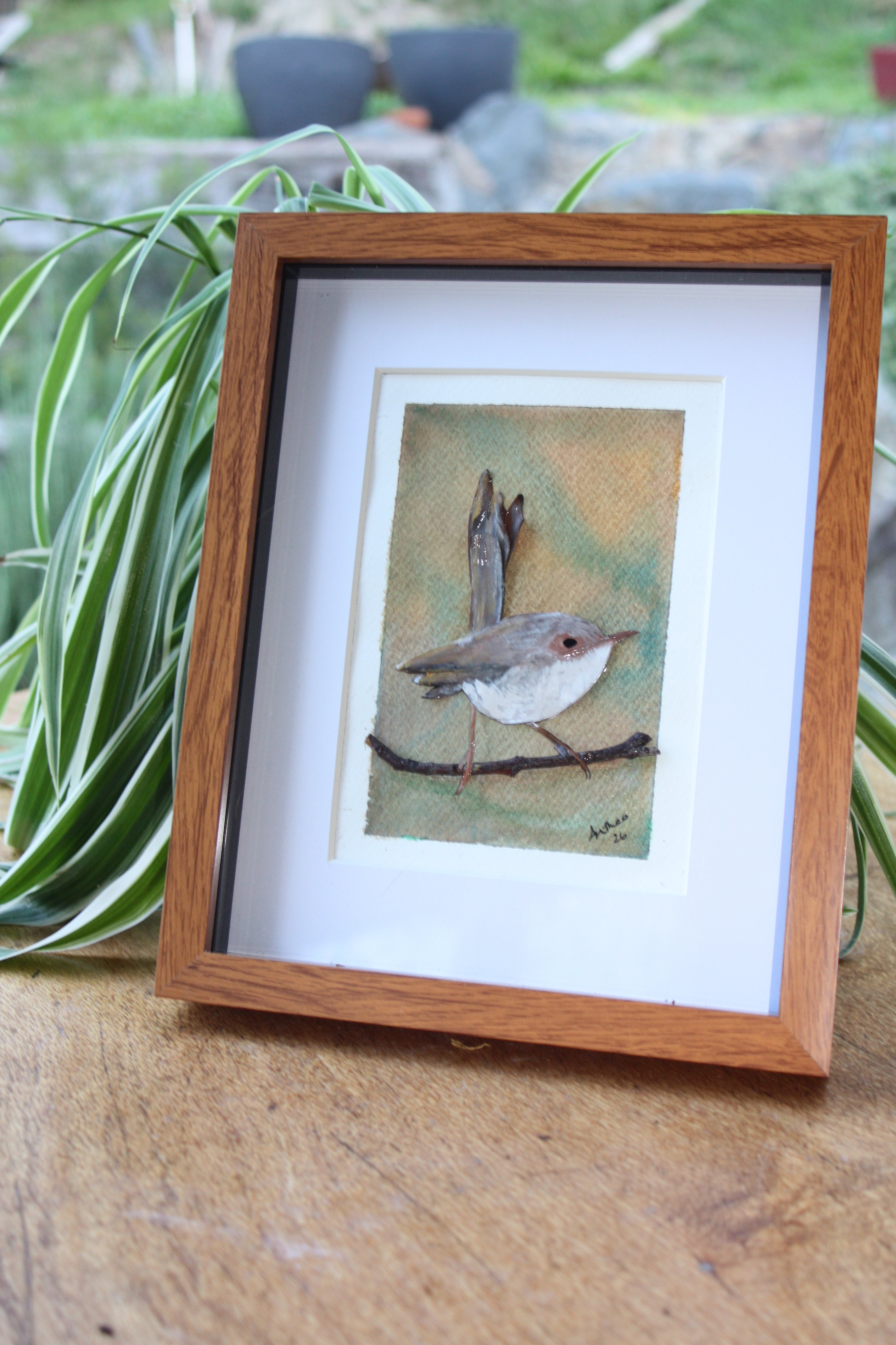 Female Fairy Blue Wren Original Artwork