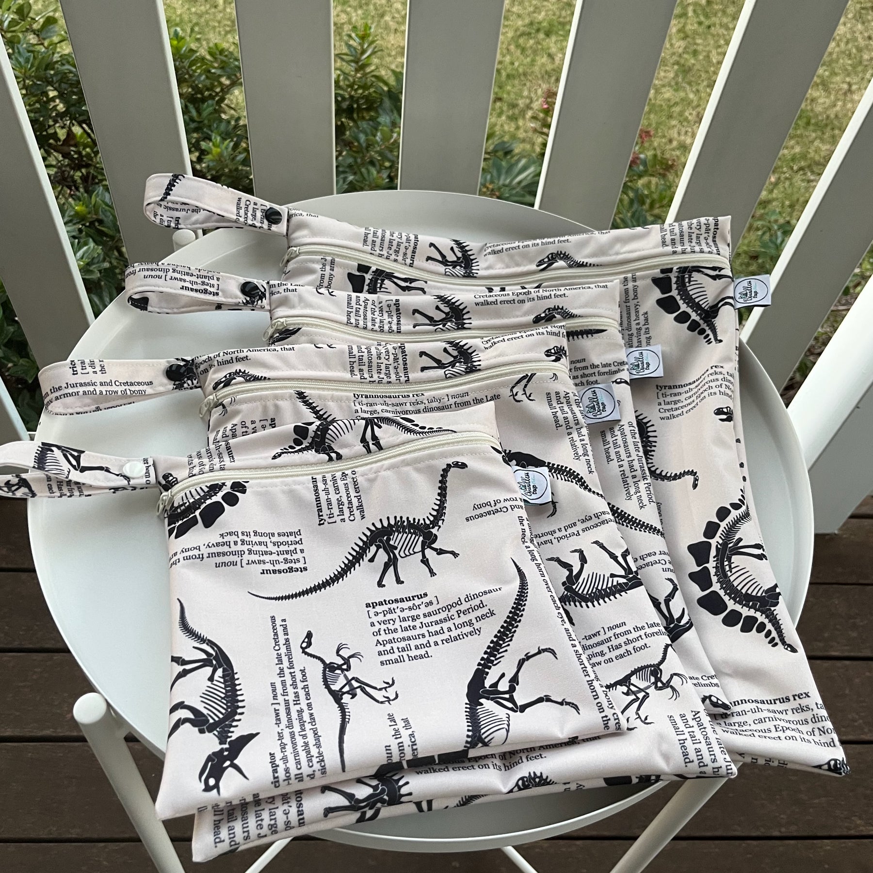 PRE-ORDER Water-resistant wet bags - Dino Definitions (iwi Designs)