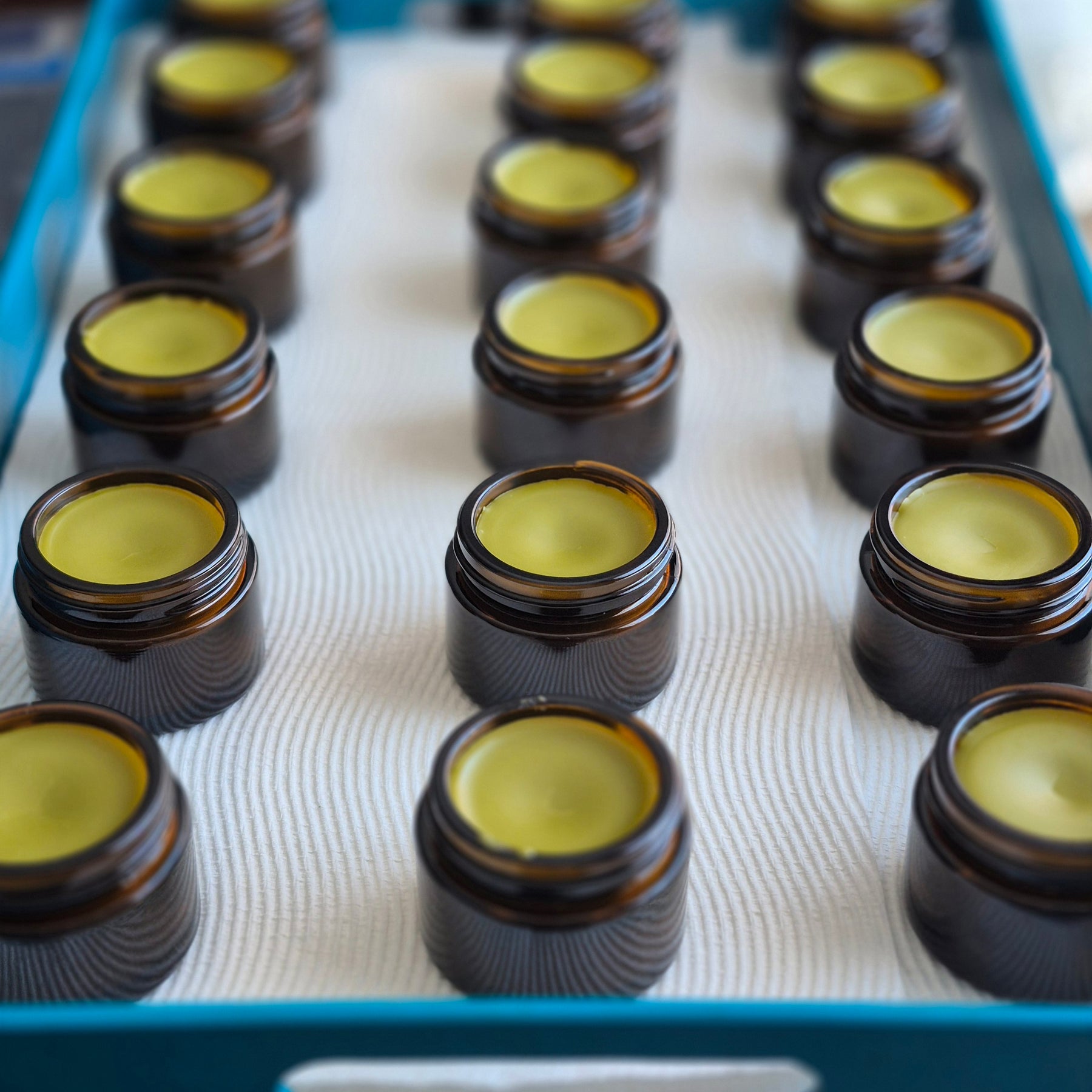 Comfrey Salve 50ml