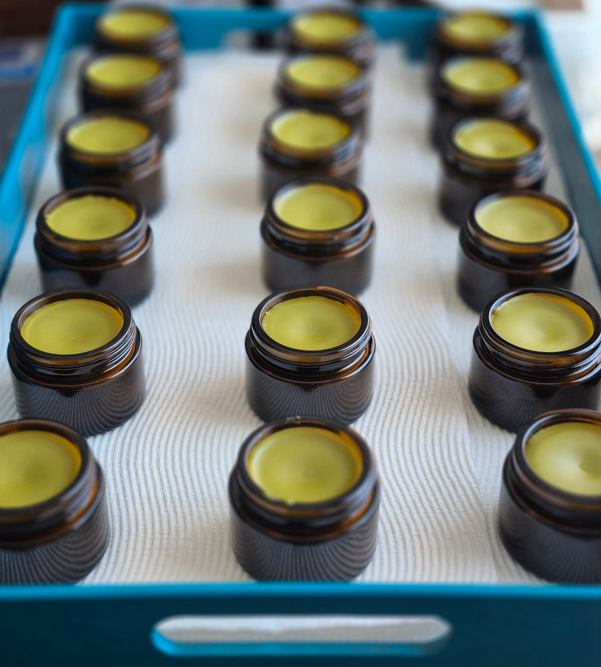 Comfrey Salve 50ml