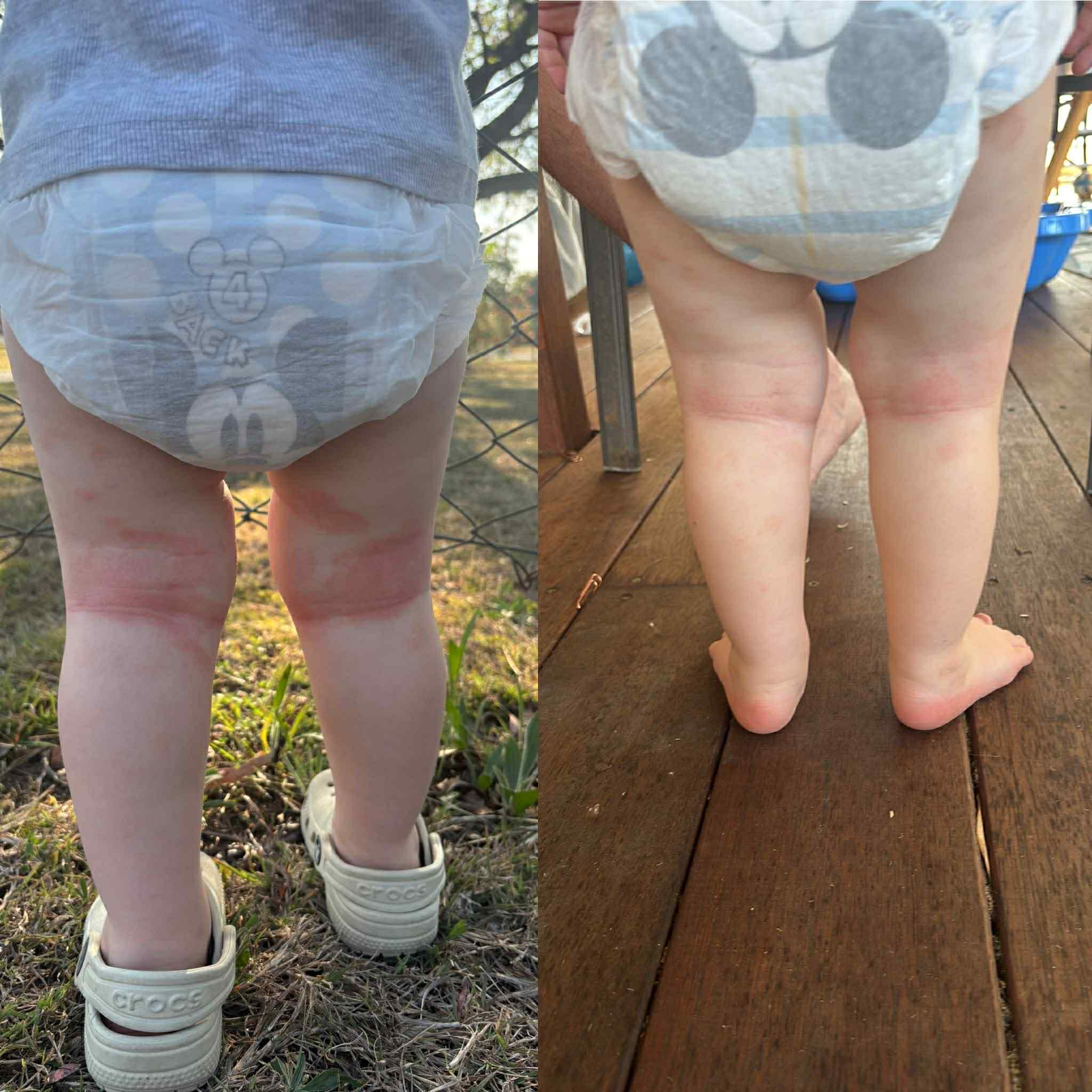 Tallow Balm - Lavender 100g