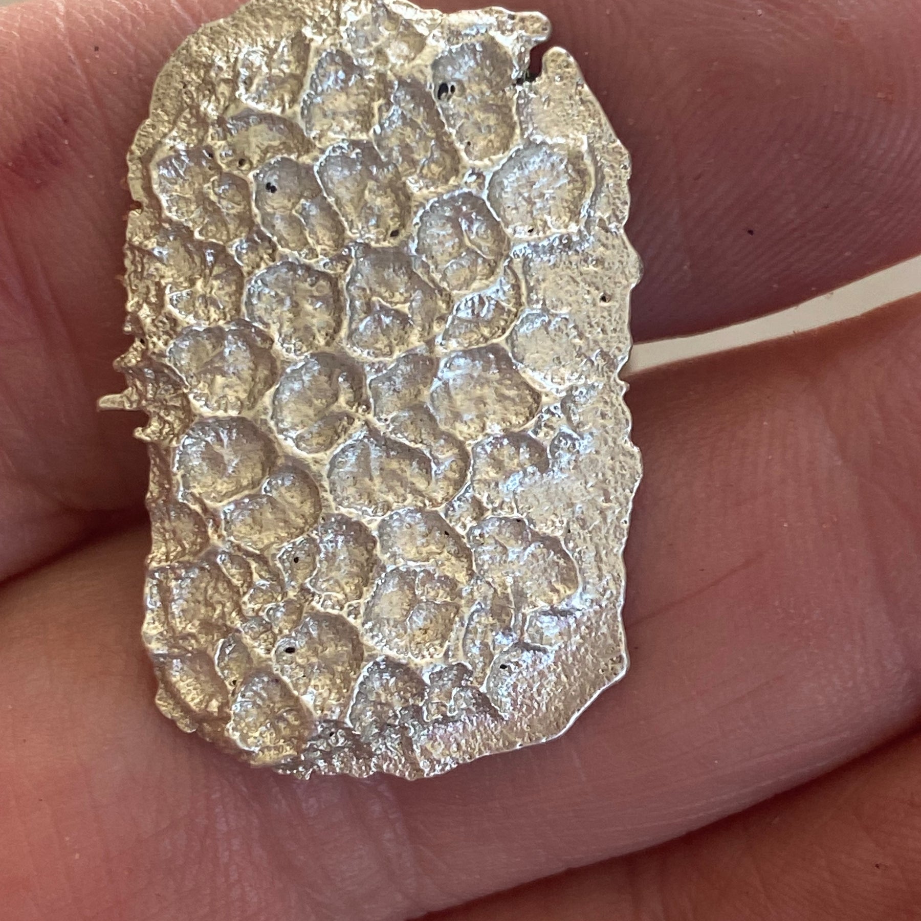 Rockpool Coral Impressions Stud Earrings, Sterling Silver