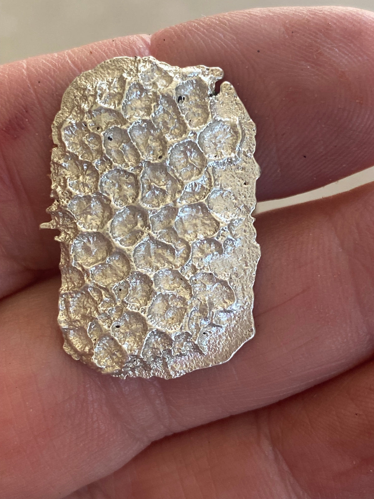 Rockpool Coral Impressions Stud Earrings, Sterling Silver