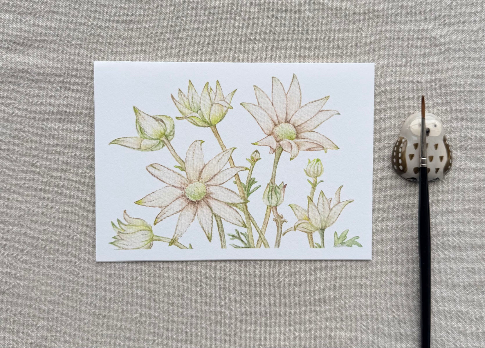 Flannel Flower Botanical Art Card - Handmade Watercolor Greeting Card