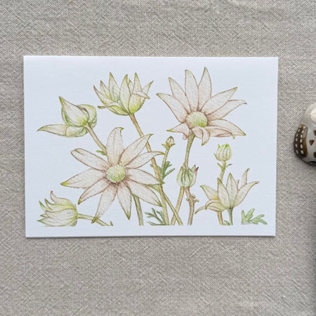Flannel Flower Botanical Art Card - Handmade Watercolor Greeting Card