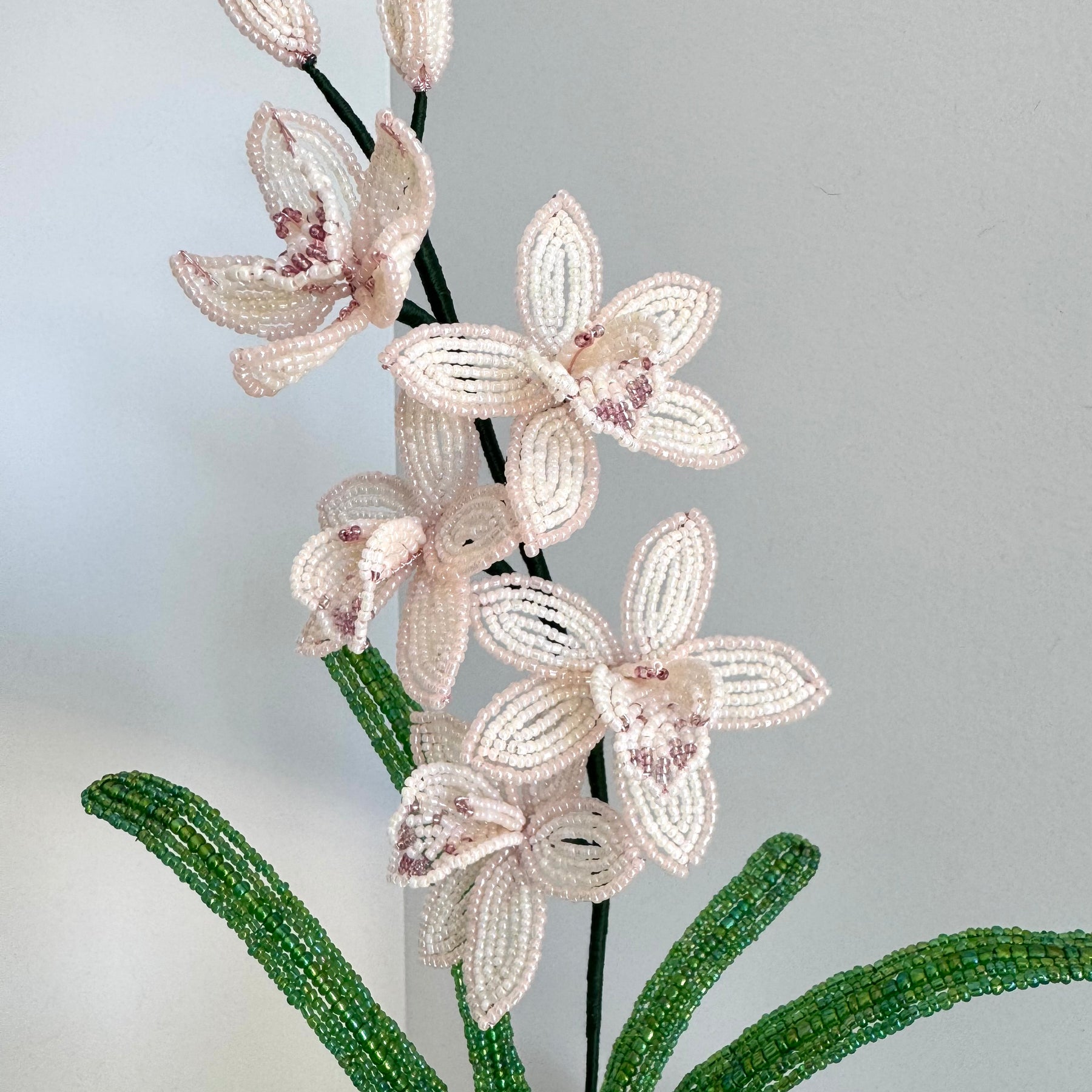 French-beaded miniature Cymbidium Orchid