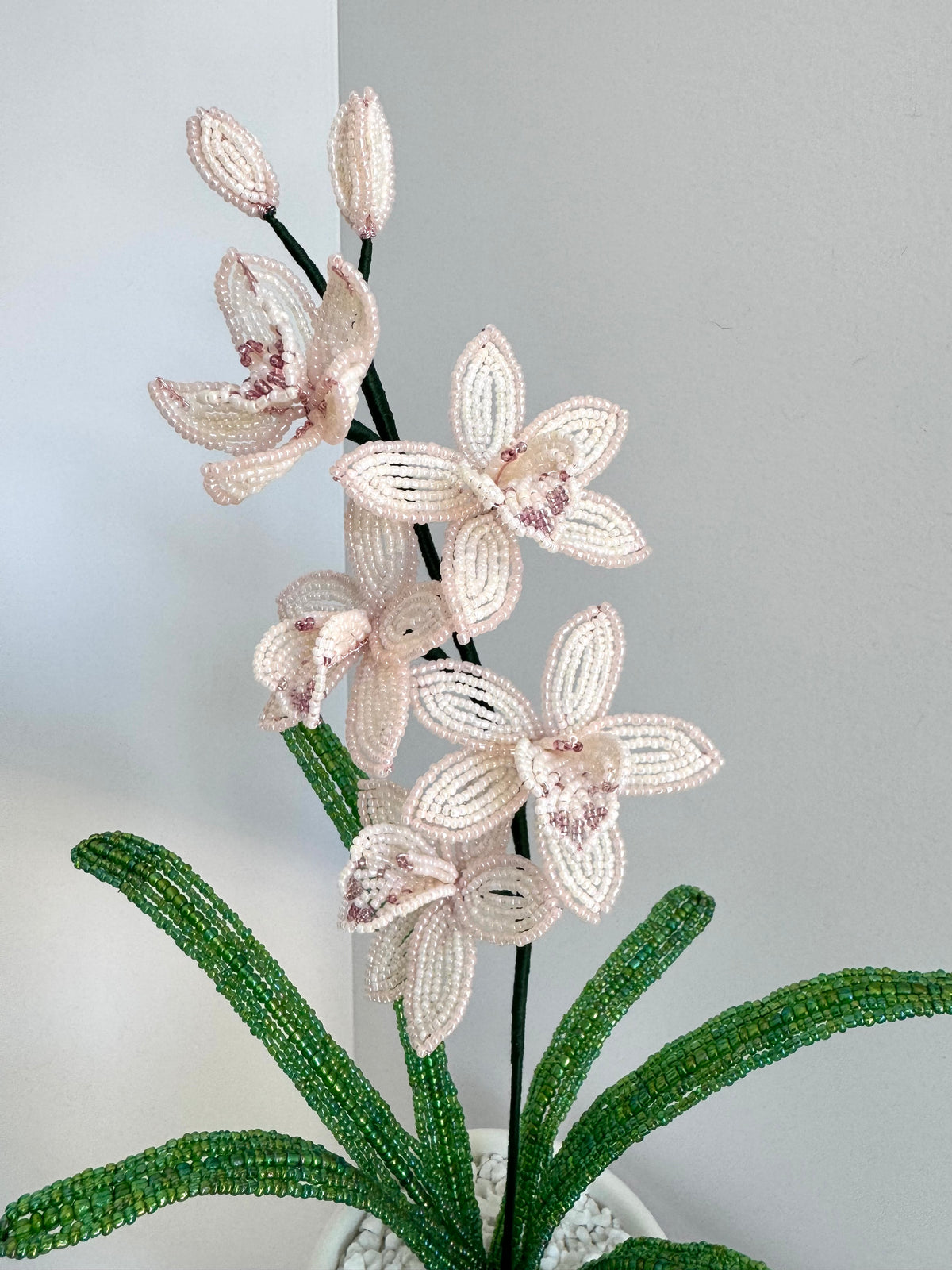 French-beaded miniature Cymbidium Orchid