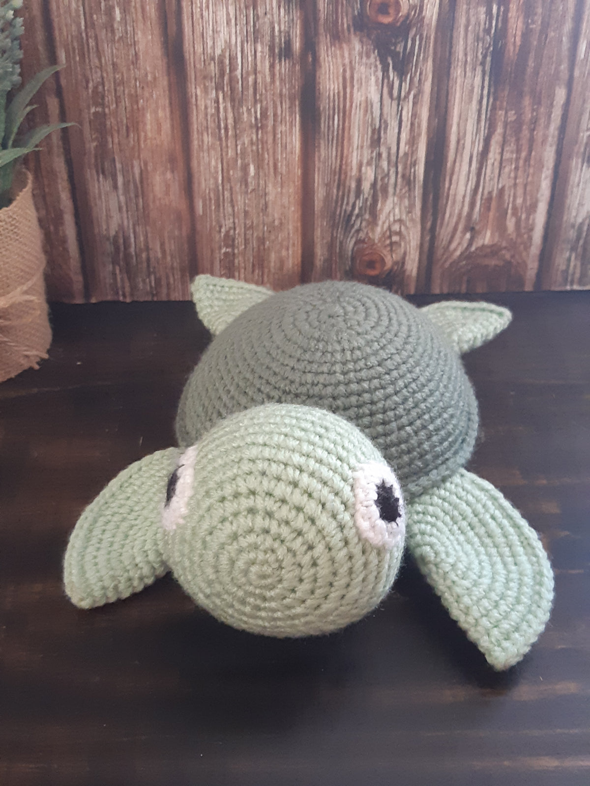 Crochet Baby Turtle