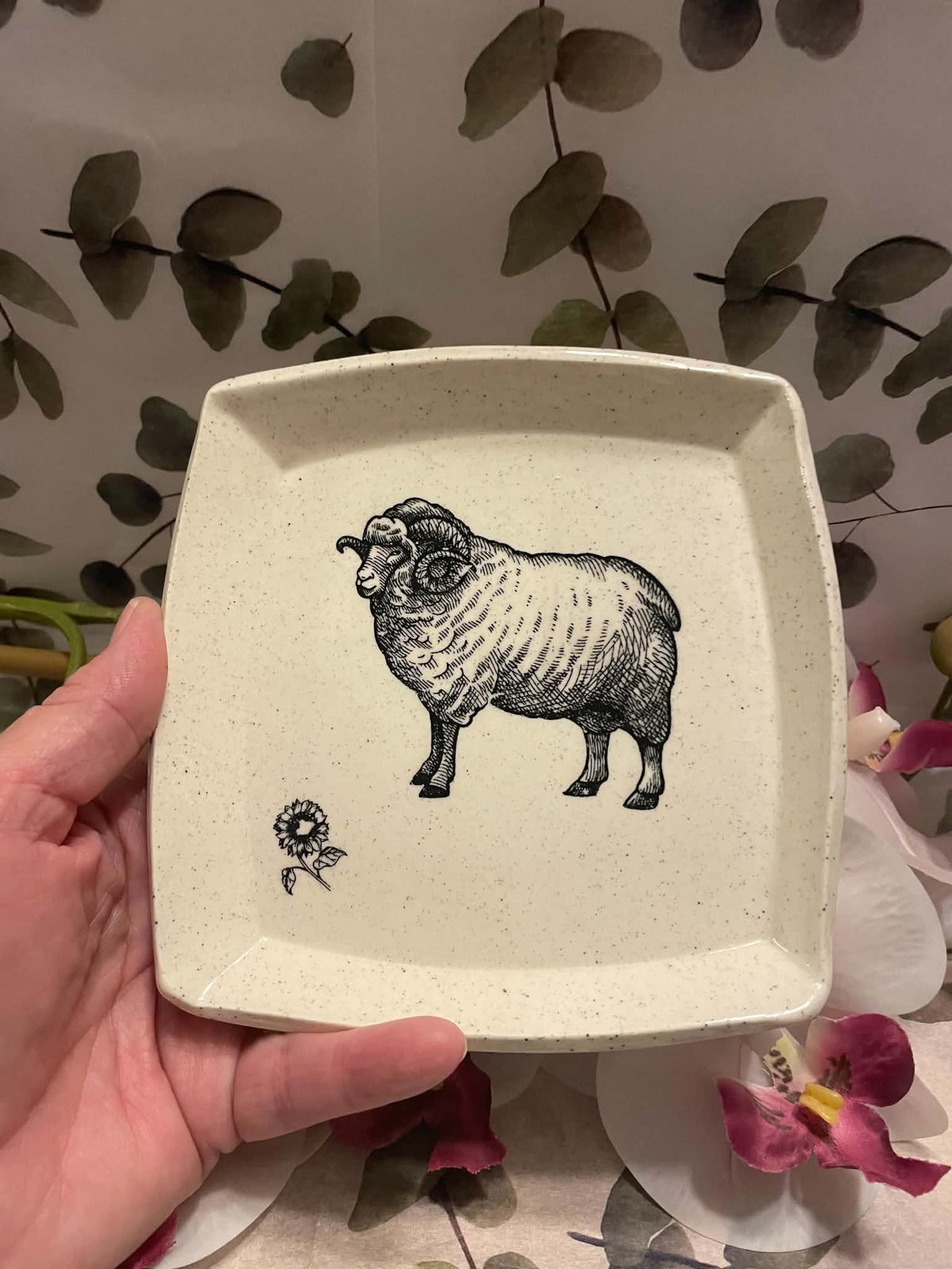 Ram / sheep square plate