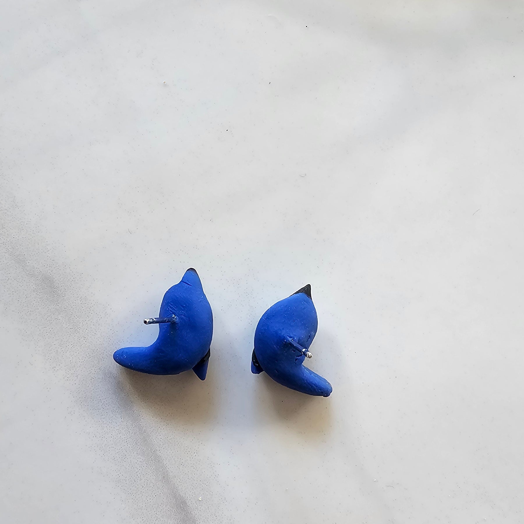 Splendid Fairy Wren Stud Earrings , Handmade,Bird Jewelery.