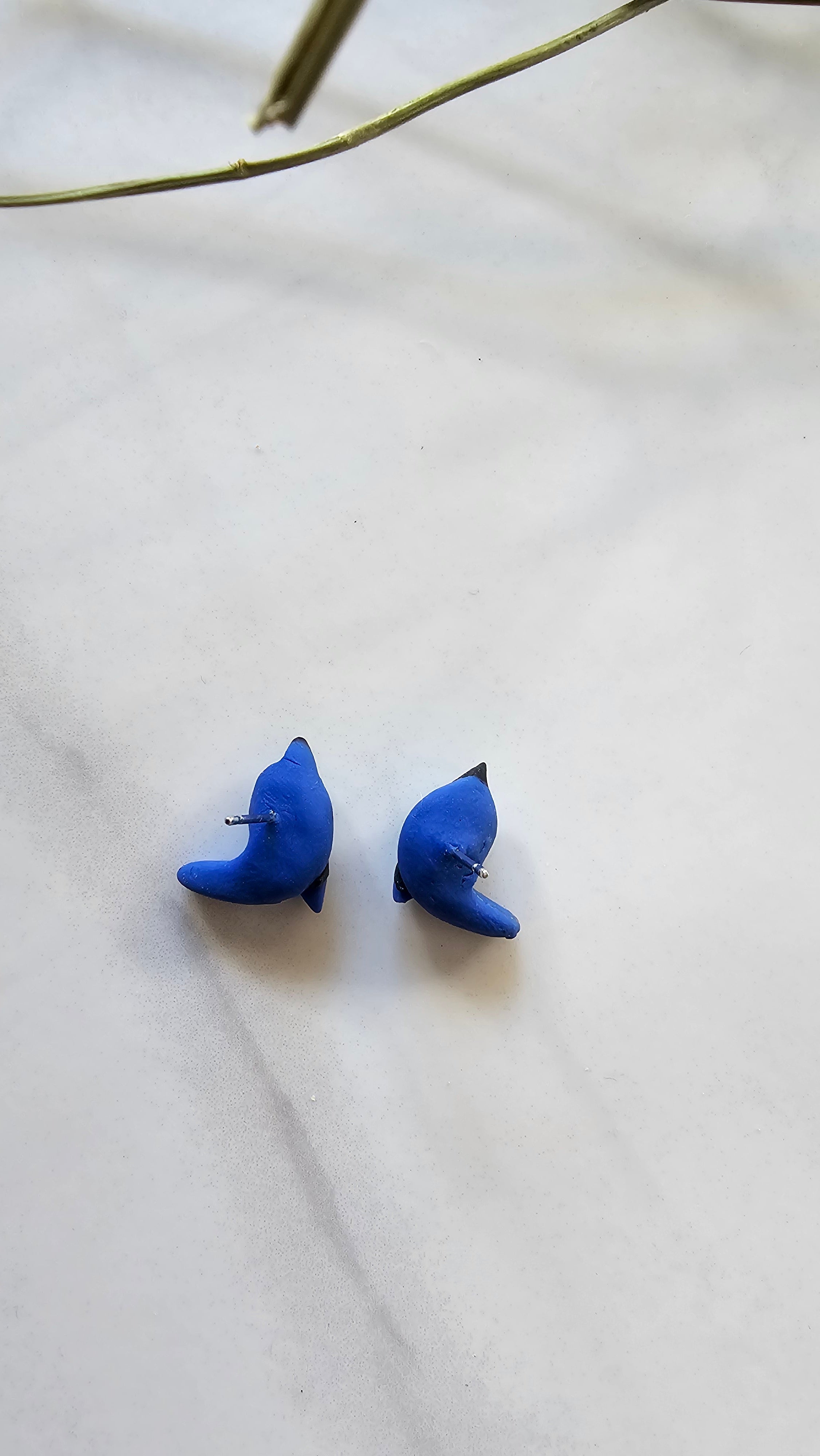 Splendid Fairy Wren Stud Earrings , Handmade,Bird Jewelery.