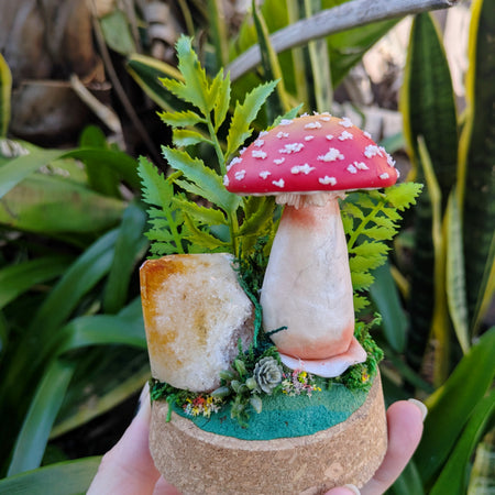 Enchanted Amanita Mushroom Dome with citrine crystal