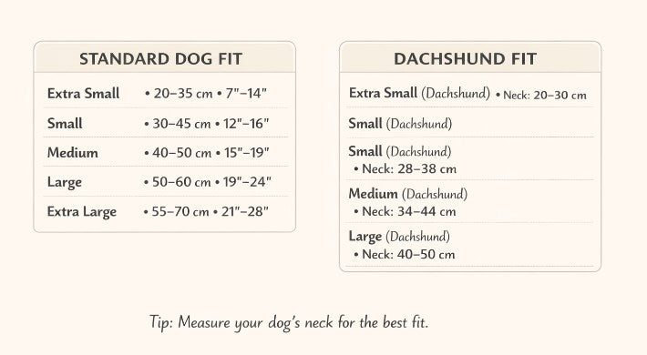 Cowboy bandana and cowboy hat set costume for pet, dog, cat