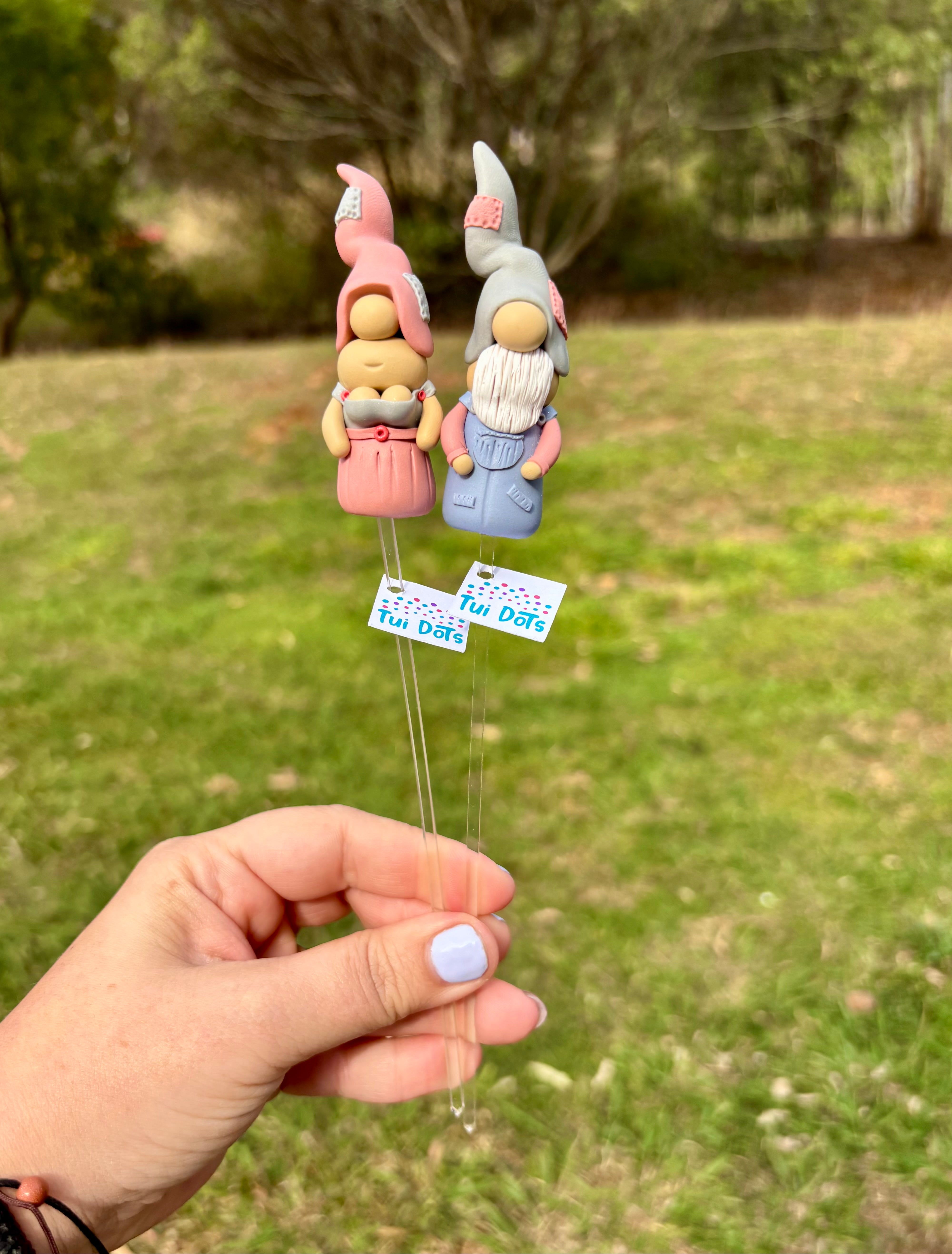 Tiny Gnomes - Jackson & Jan