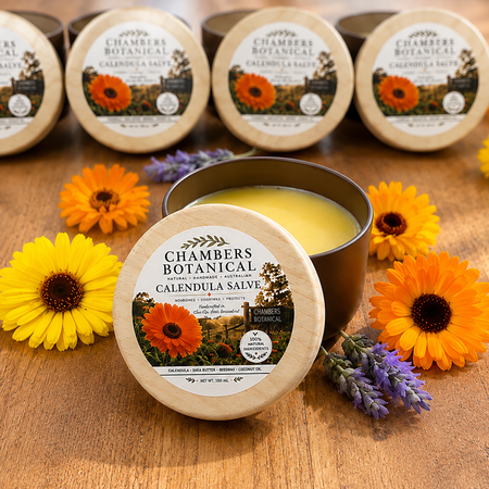 Calendula Salve (Balm)