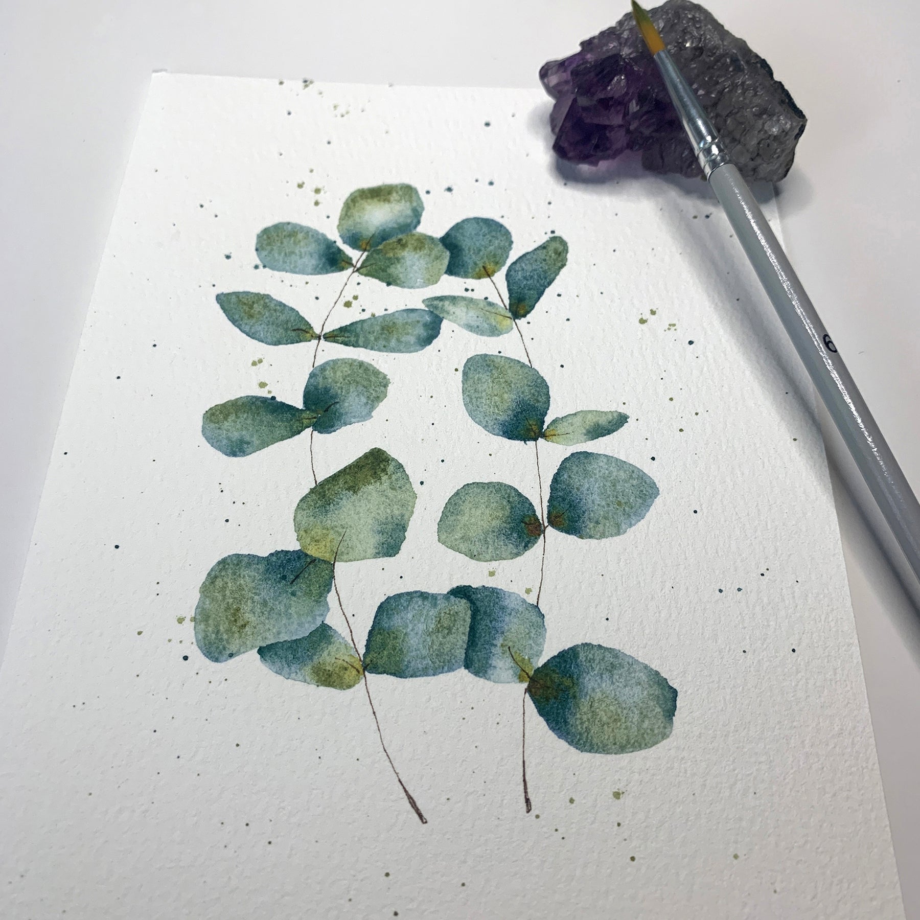 Original Hand-painted Watercolour Artwork - "Silver Dollar" - 5x7"